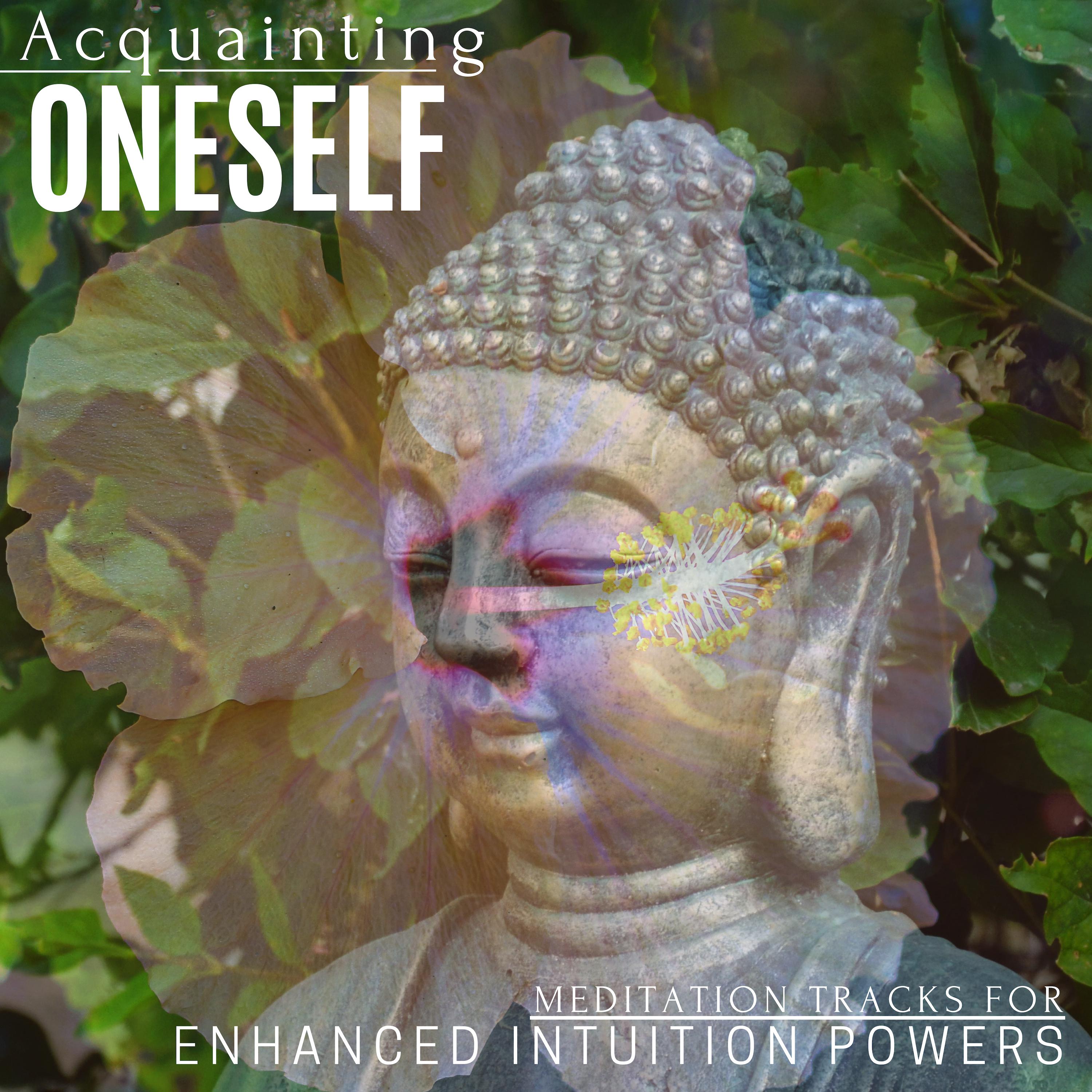 Acquainting Oneself - Meditation Tracks For Enhanced Intuition Powers