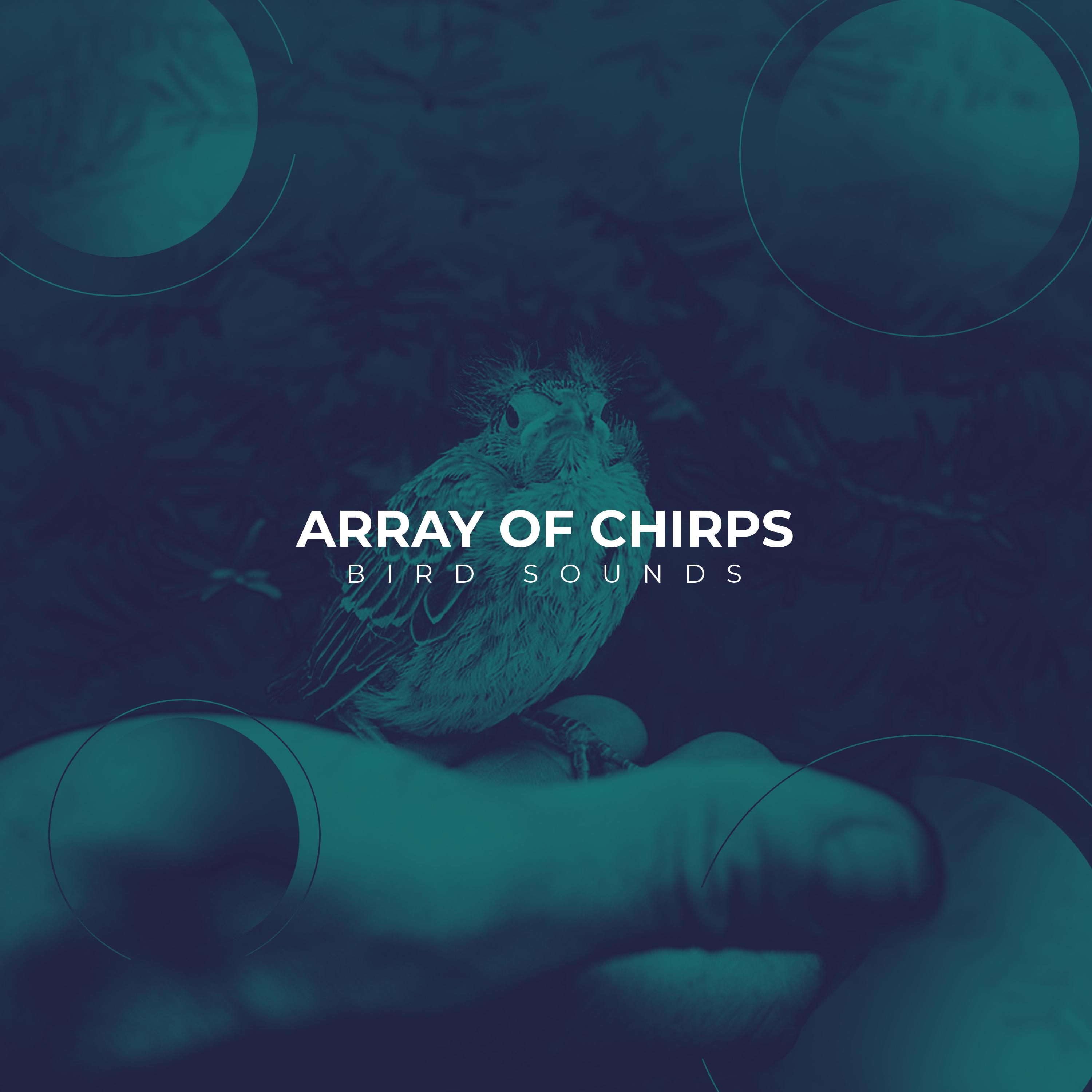 Array of Chirps