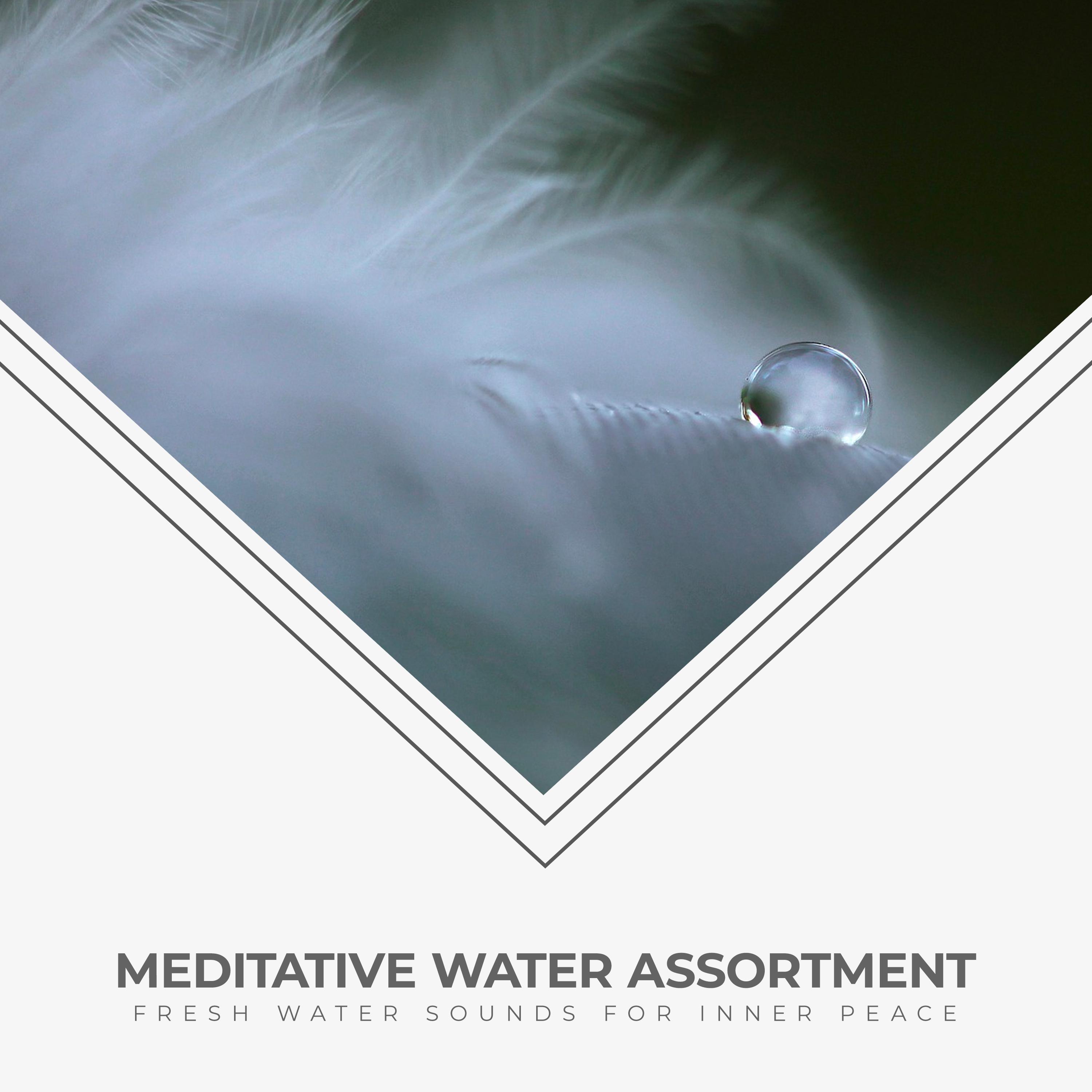 Meditative Water Assortment