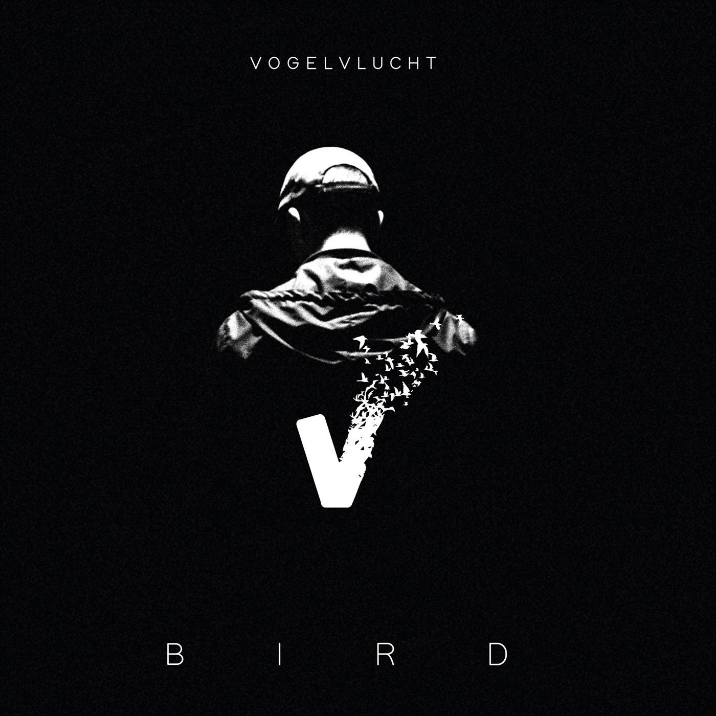 Vogelvlucht