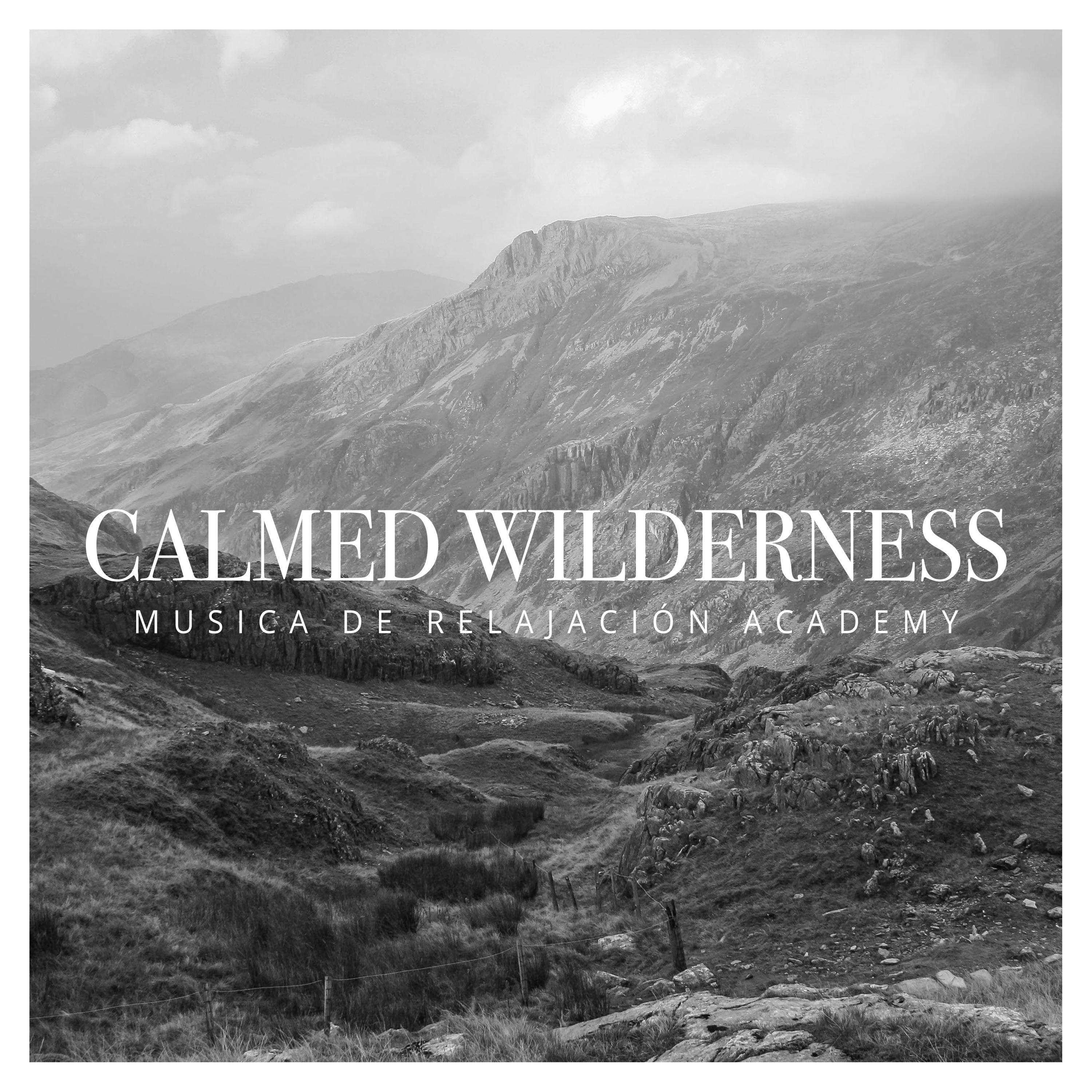 Calmed Wilderness