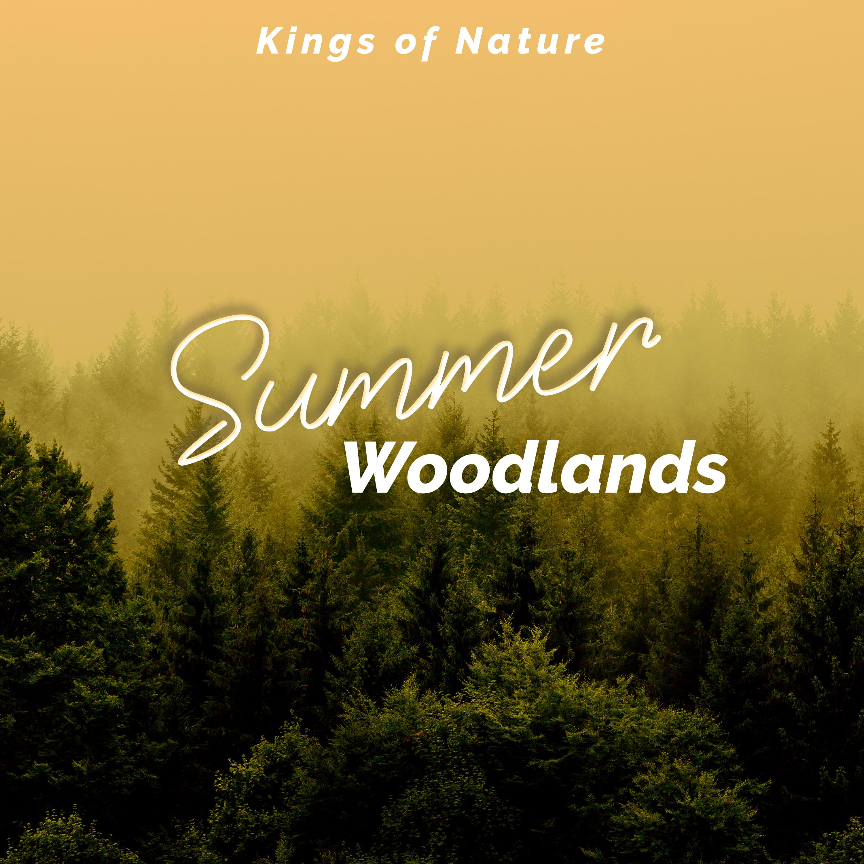 Summer Woodlands