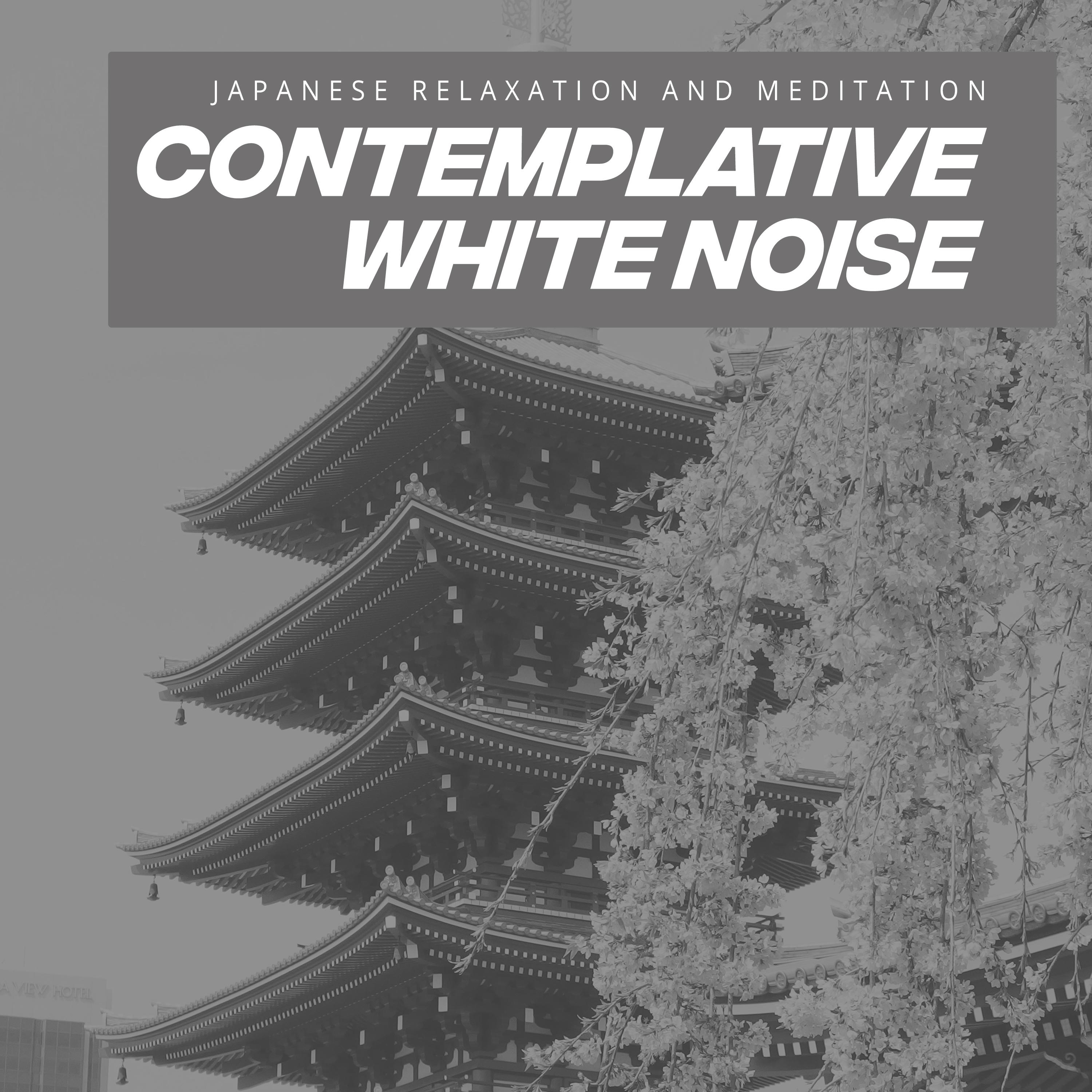 Contemplative White Noise