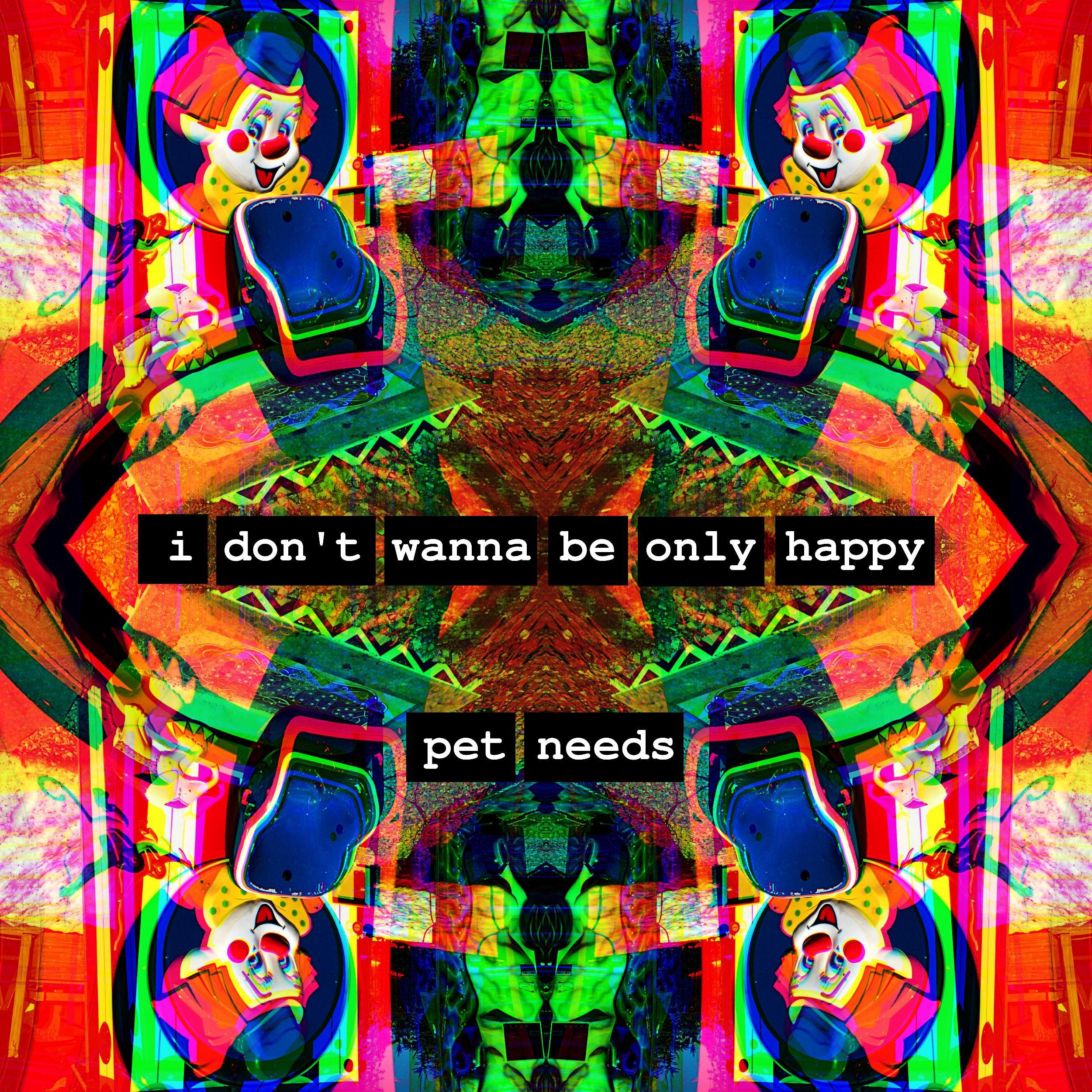 I Don't Wanna Be Only Happy