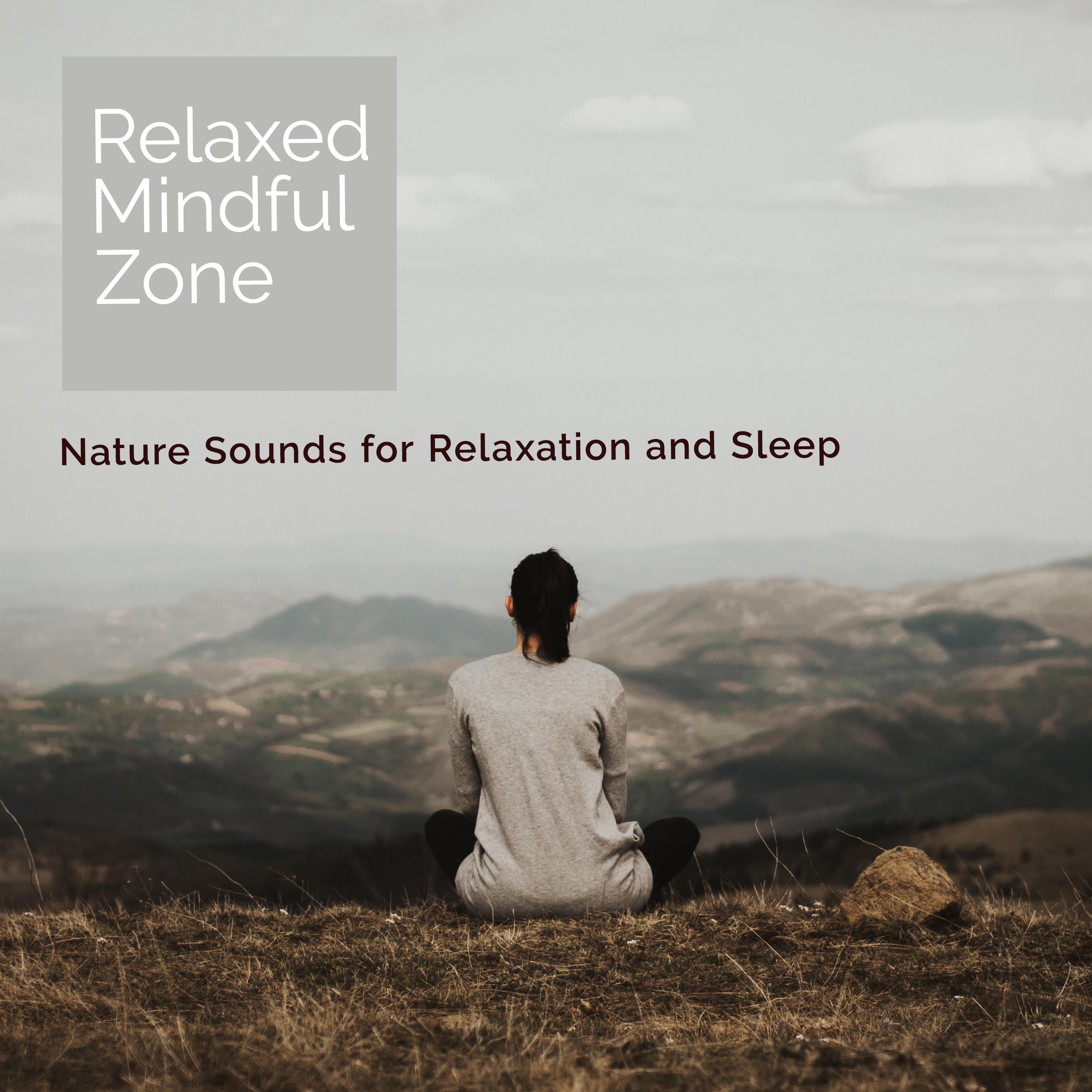 Relaxed Mindful Zone