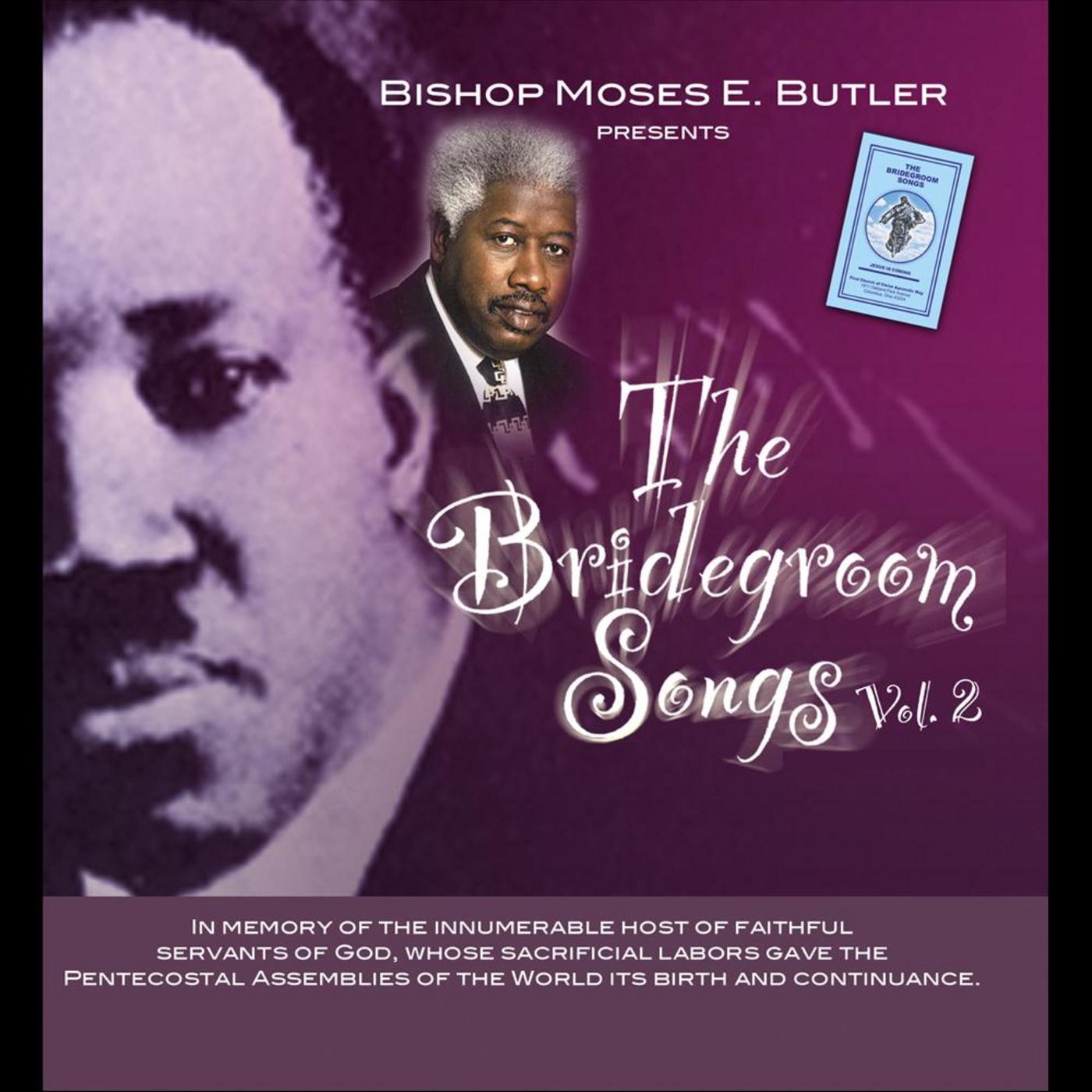 The Bridegroom Songs, Vol. 2