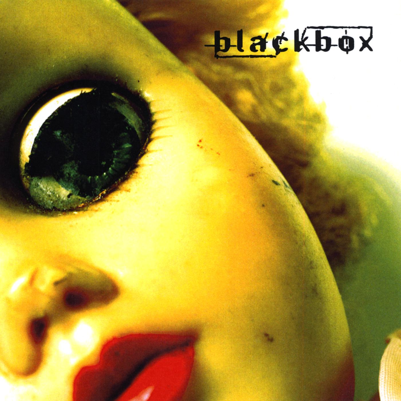 Blackbox