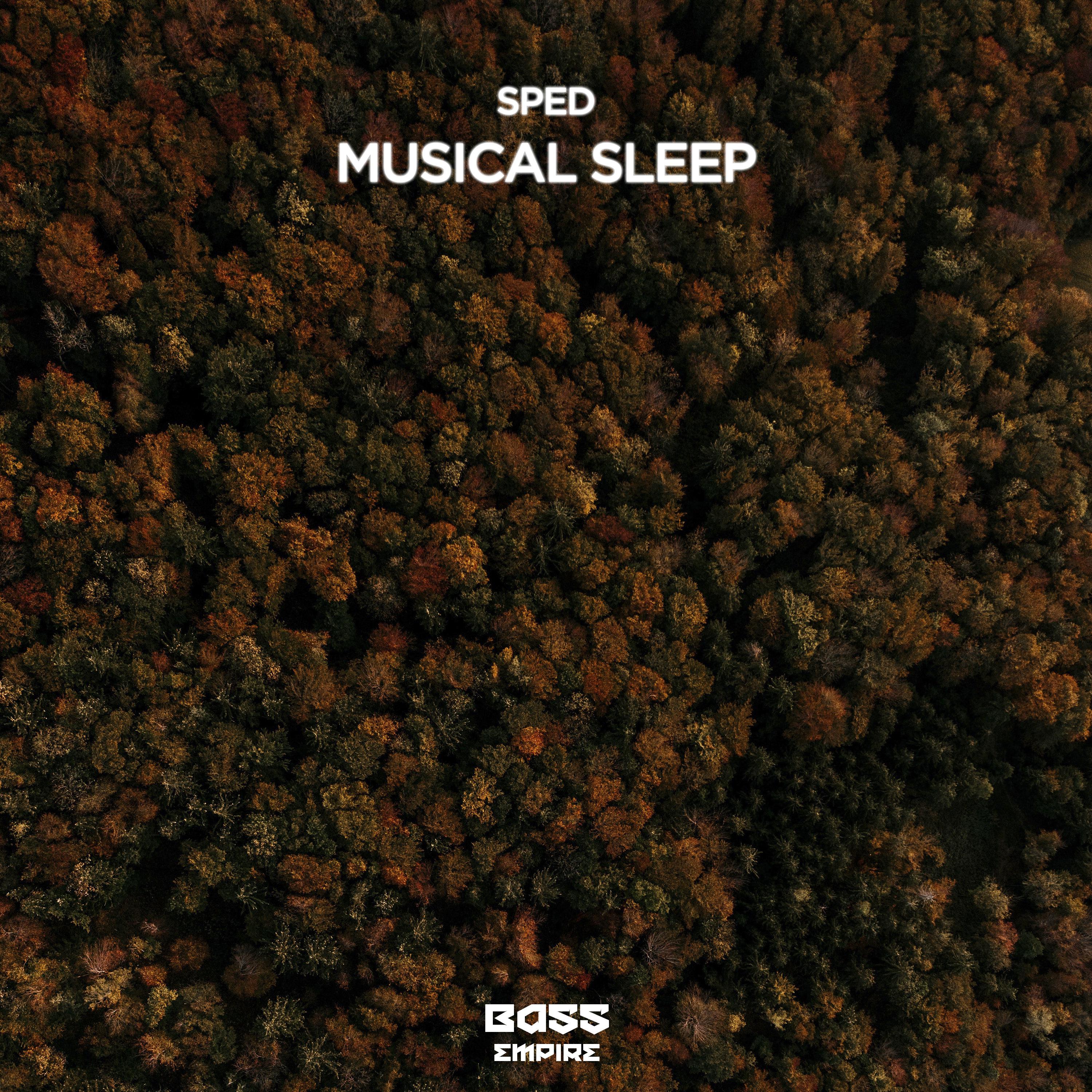 Musical Sleep