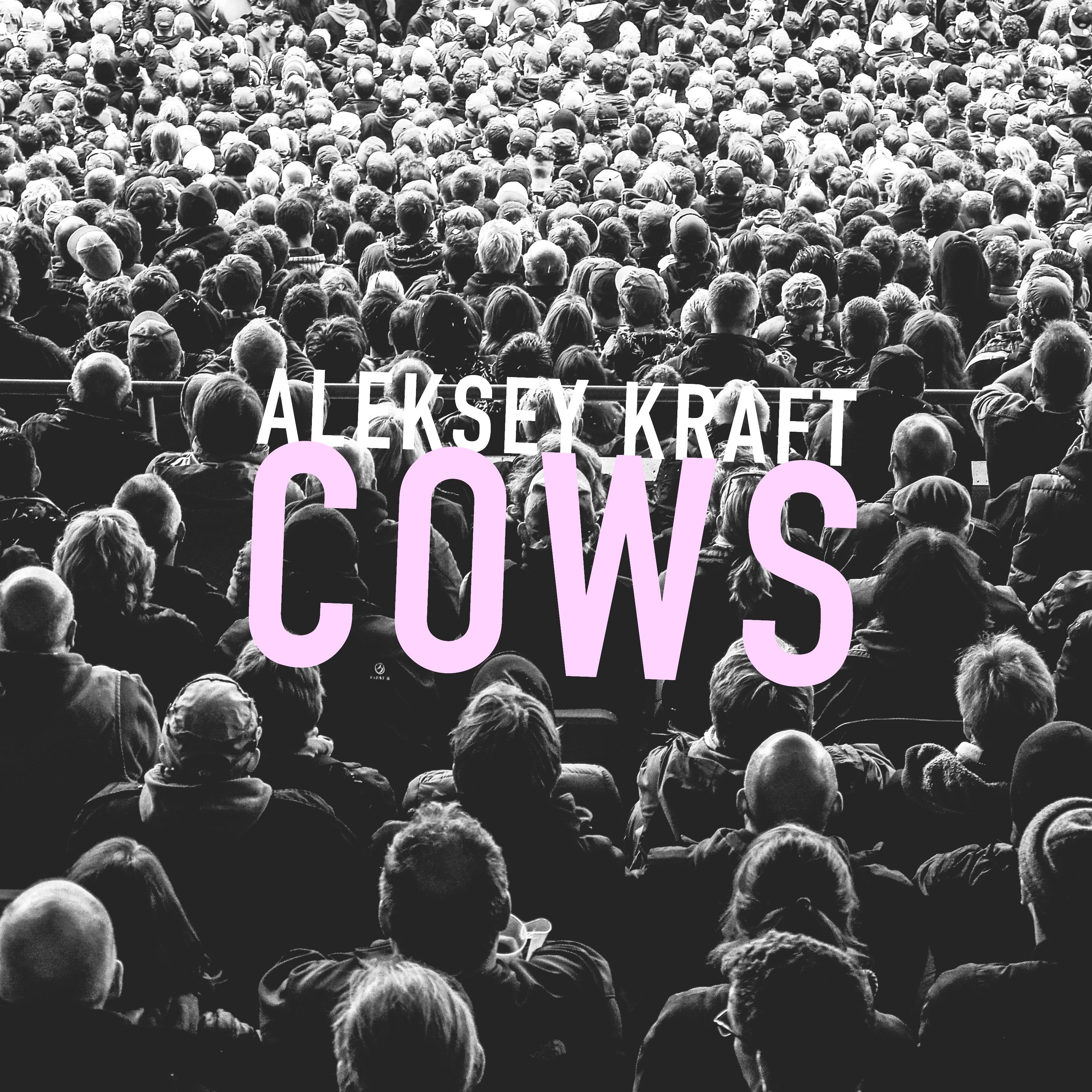 Cows