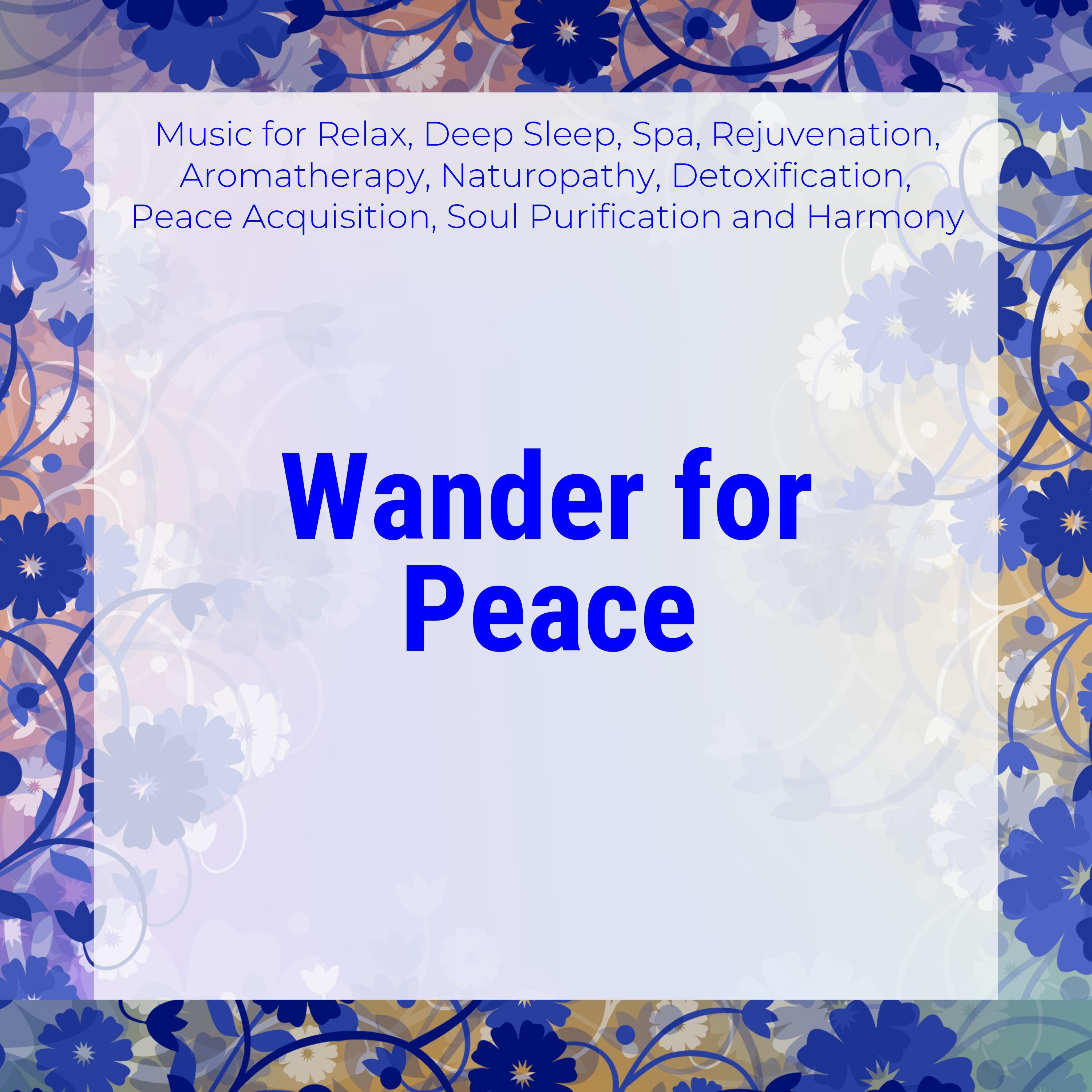 Wander For Peace (Music For Relax, Deep Sleep, Spa, Rejuvenation, Aromatherapy, Naturopathy, Detoxification, Peace Acquisition, Soul Purification And Harmony)