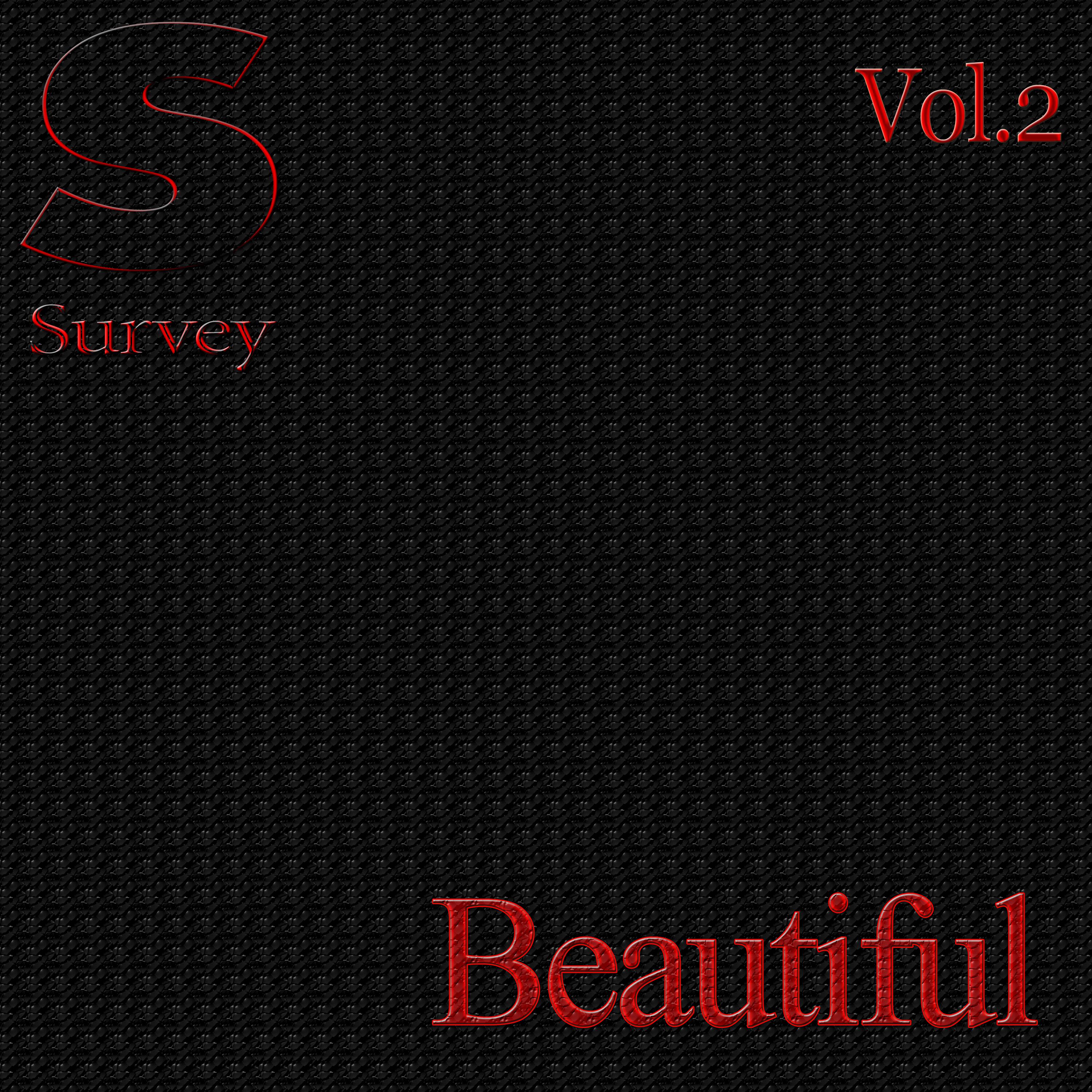 Beautiful, Vol.2