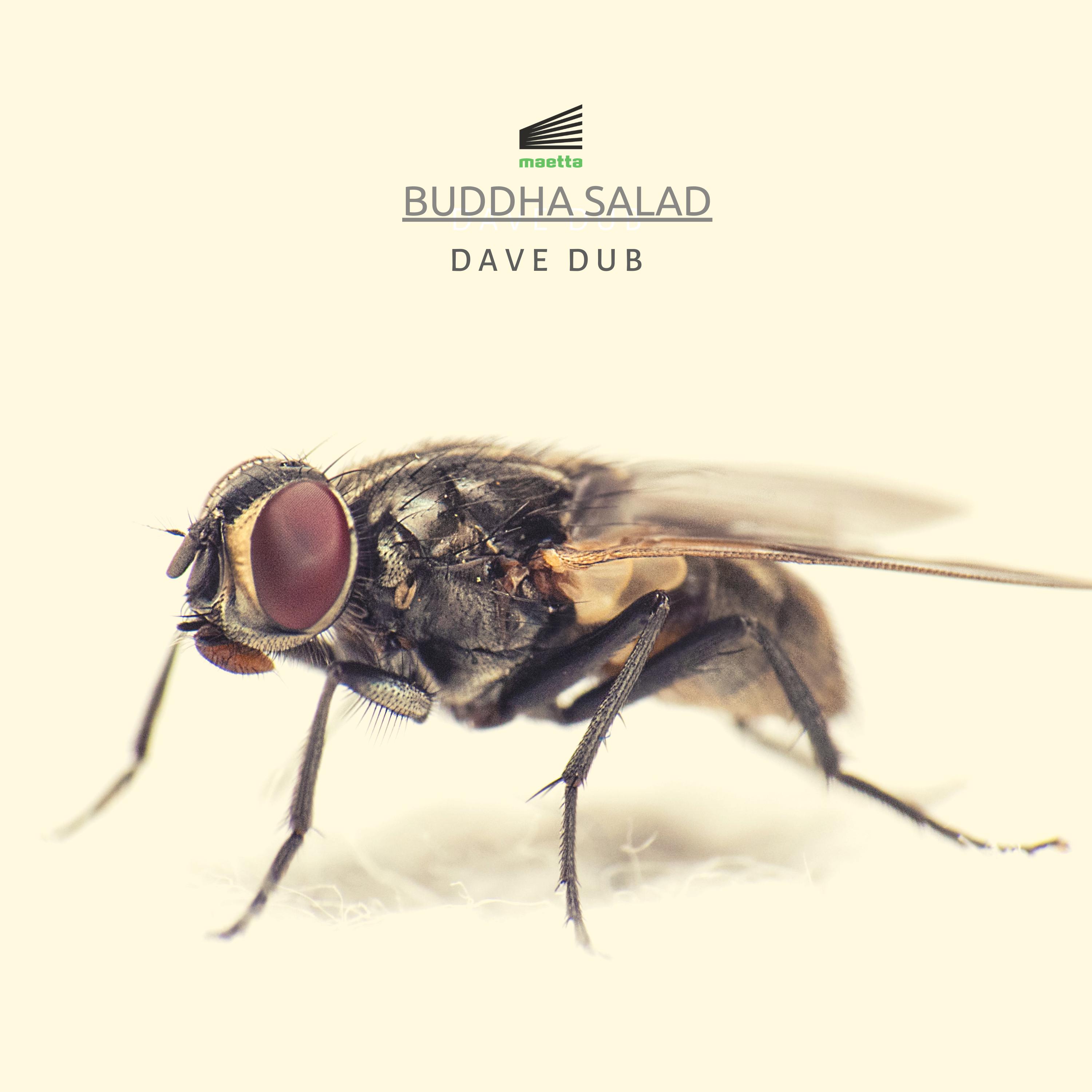 Buddha Salad EP