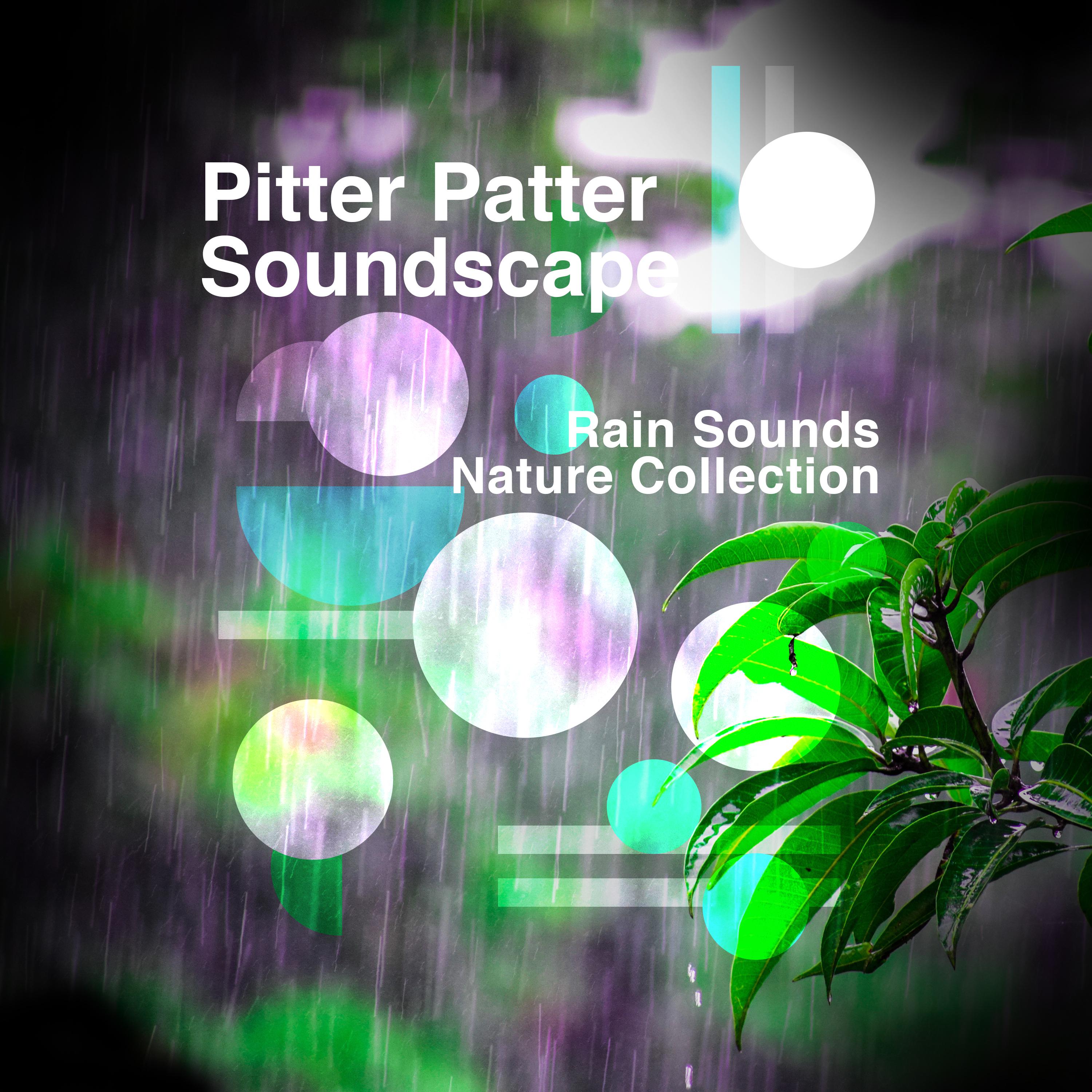 Pitter Patter Soundscape
