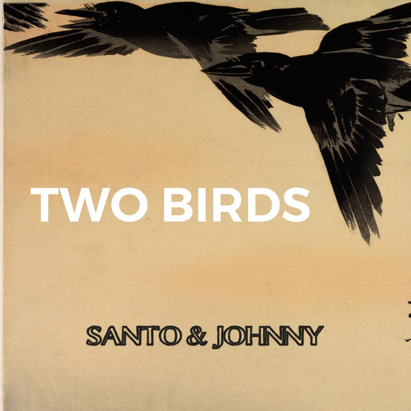 Two Birds