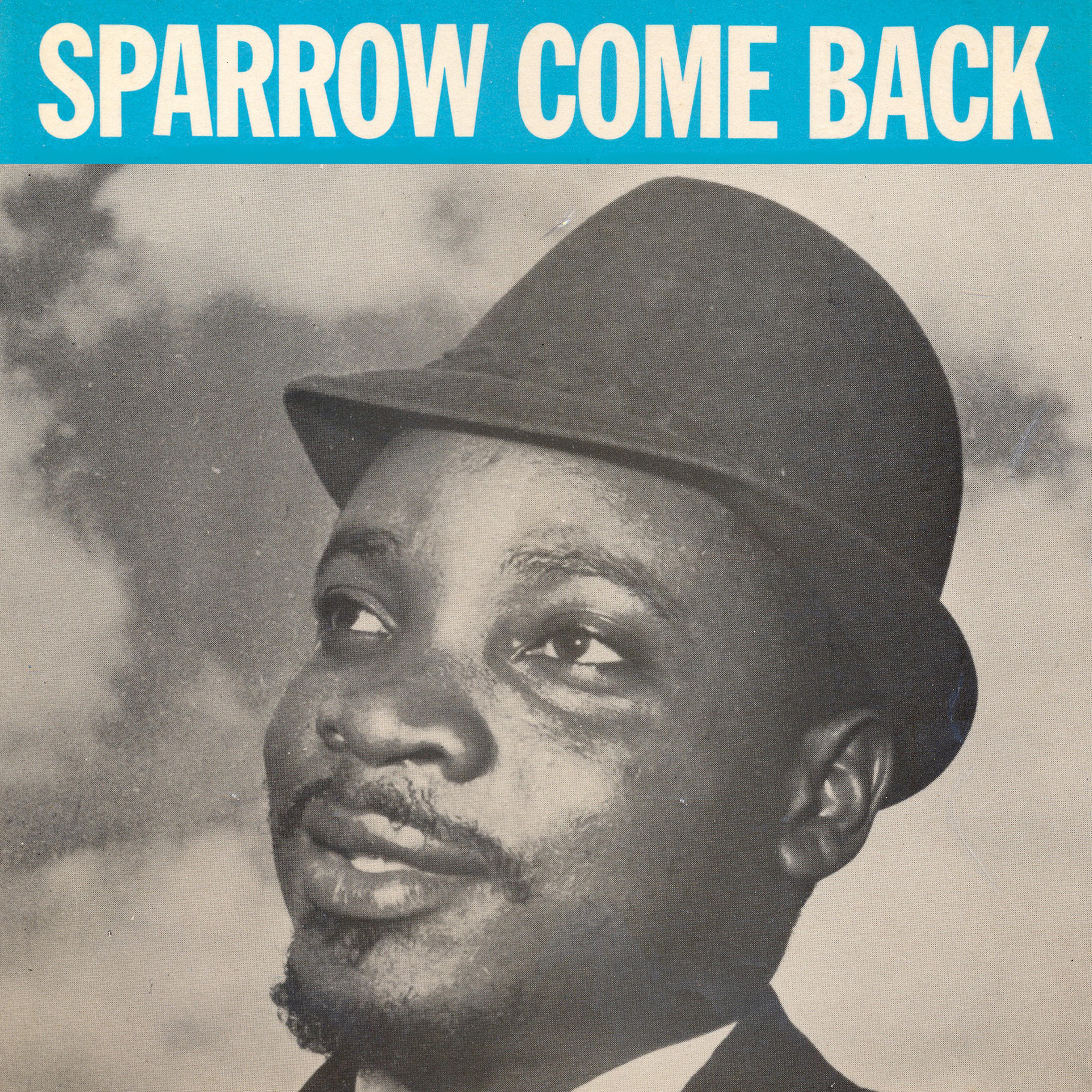 Sparrow Come Back Home