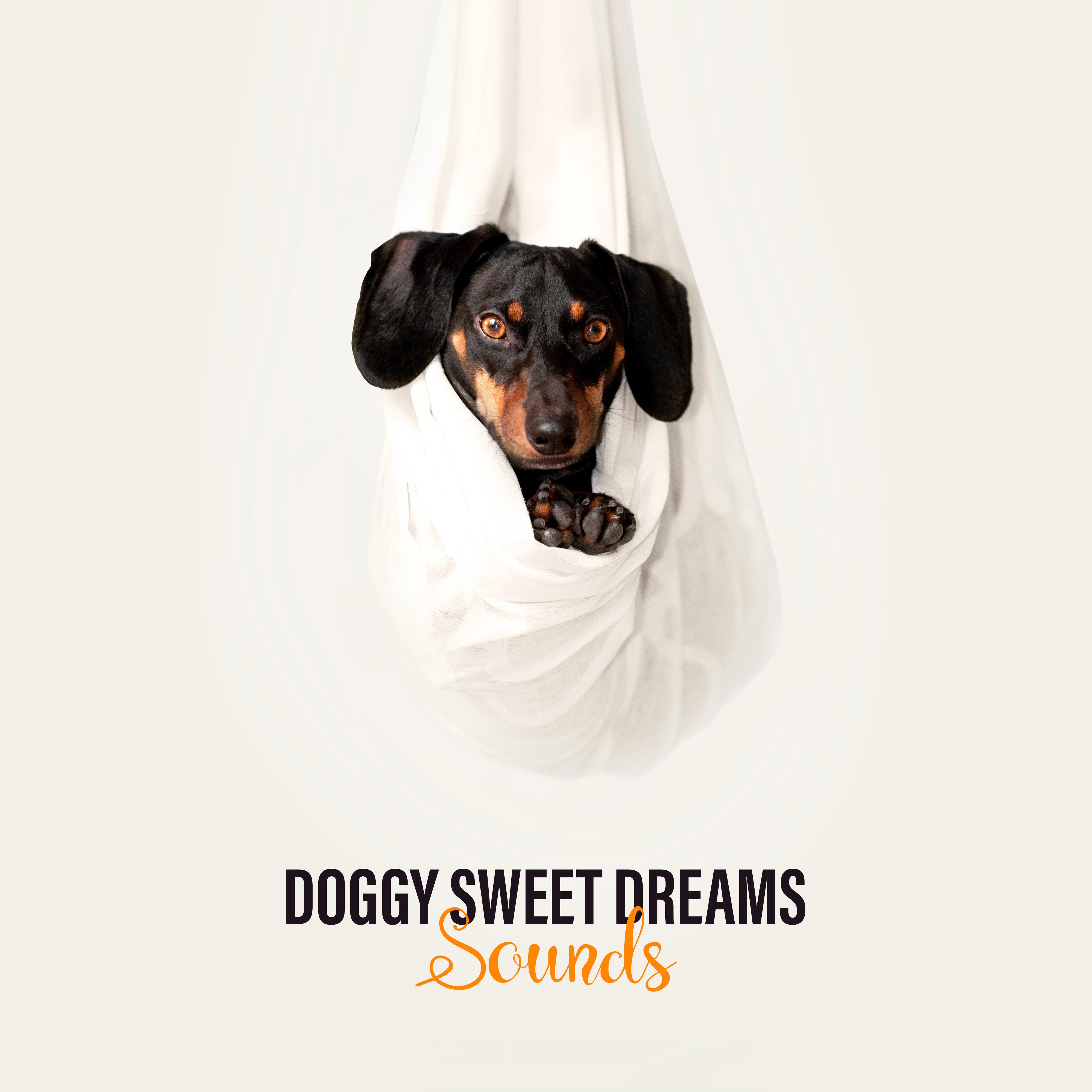 Doggy Sweet Dreams Sounds: 2019 Relaxing Music for Dogs, Perfect Lullabies for Adult Dog or Small Puppy, Calm Down Your Pet