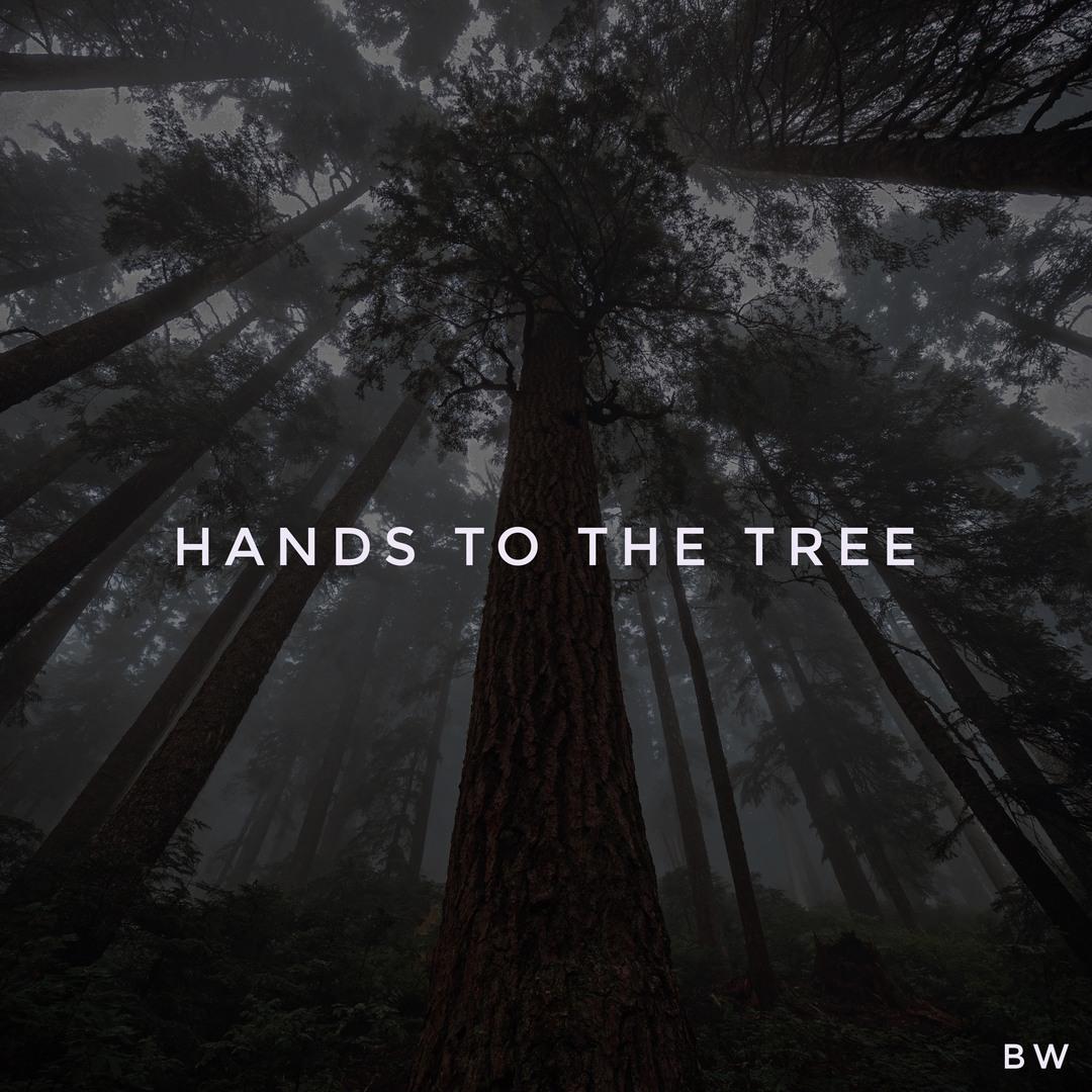 Hands to the Tree