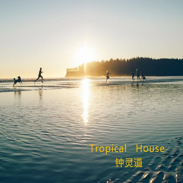 Tropical House