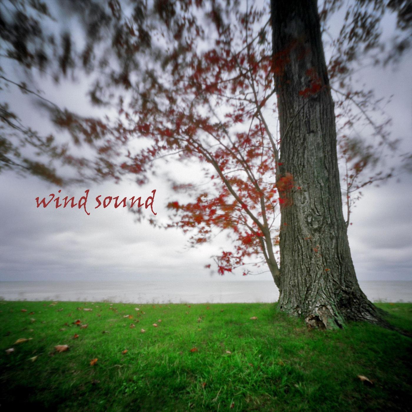 Wind Sound