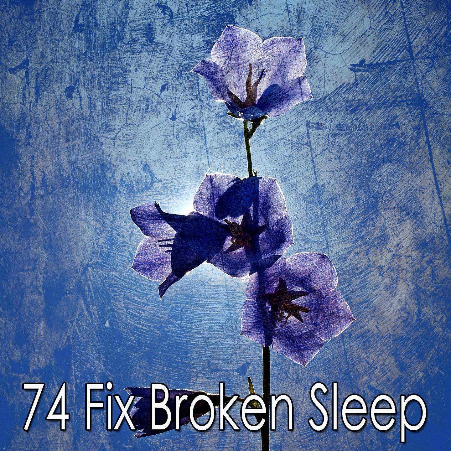 74 Fix Broken Sleep