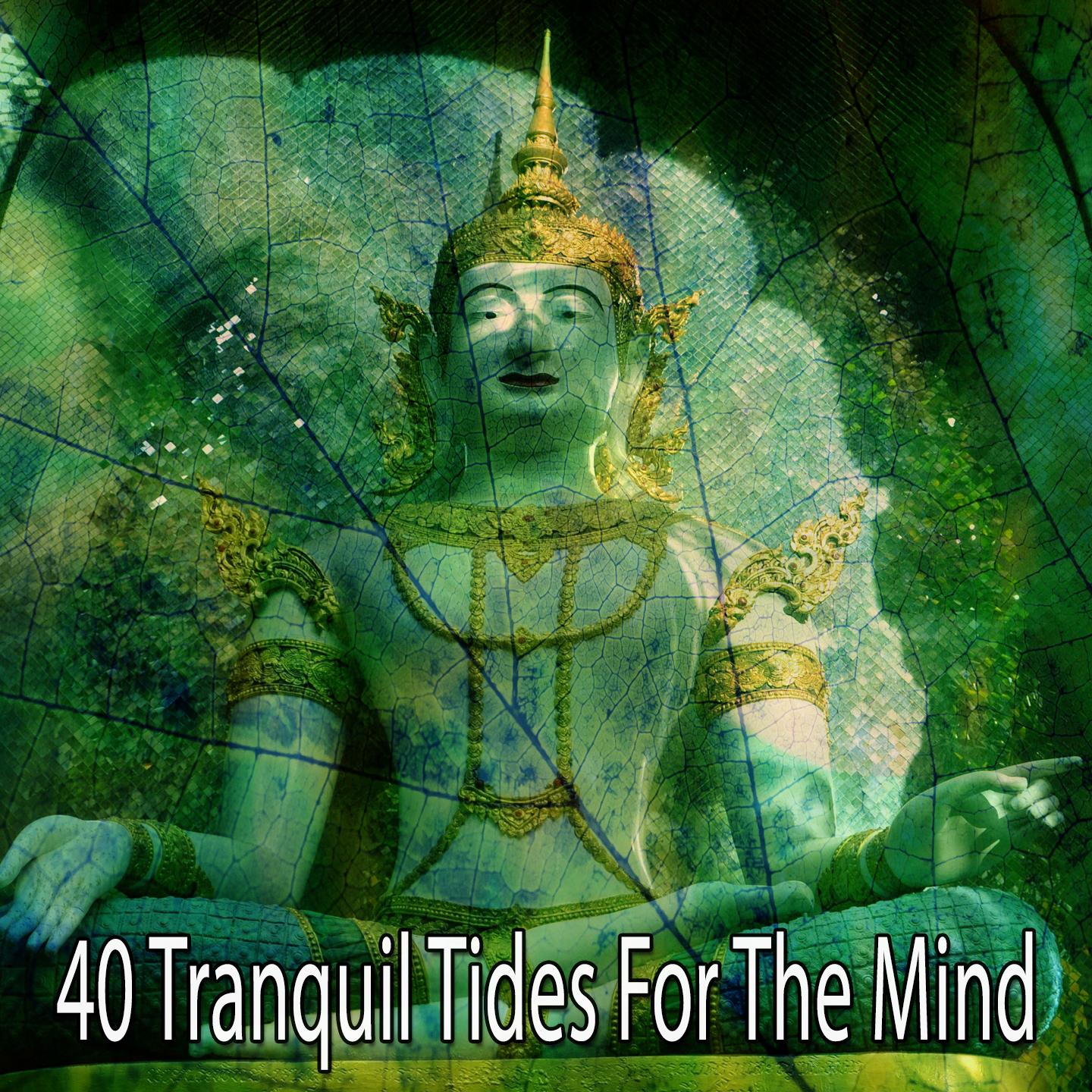 40 Tranquil Tides for the Mind