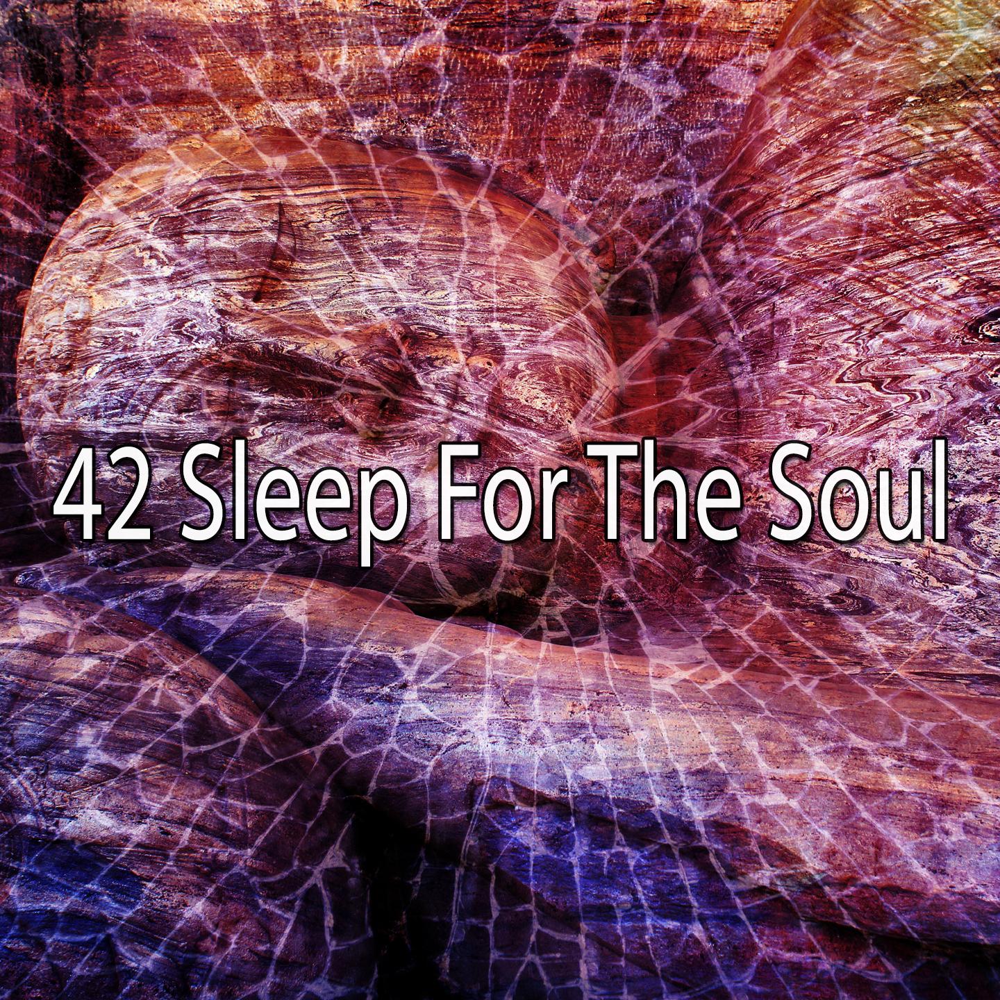 42 Sleep for the Soul