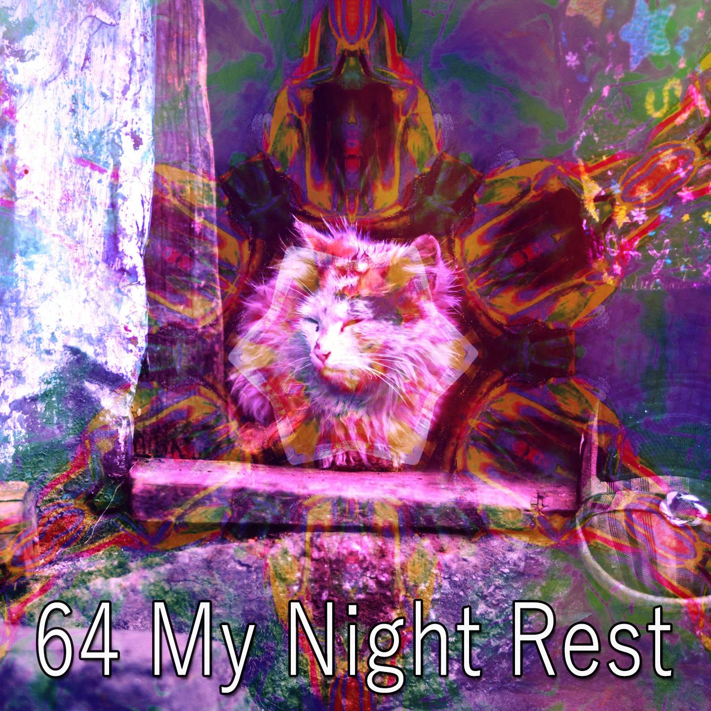 64 My Night Rest