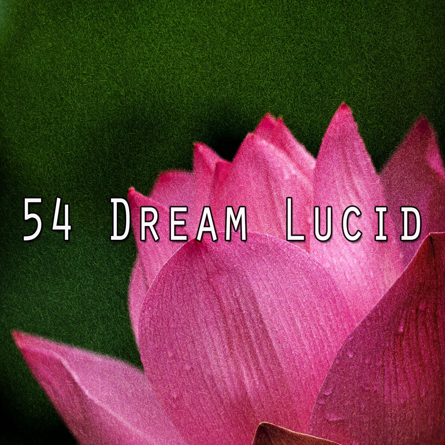 54 Dream Lucid