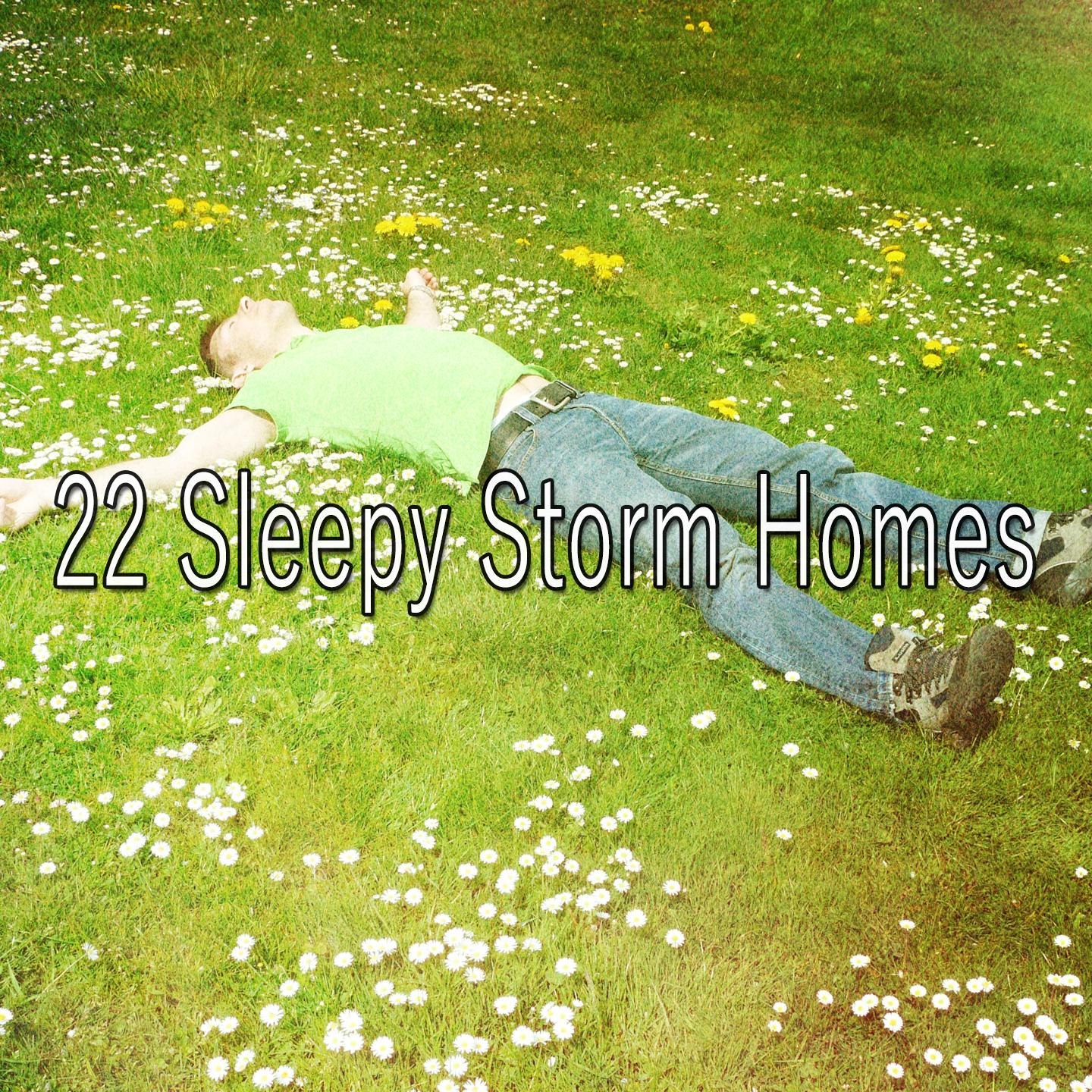 22 Sleepy Storm Homes