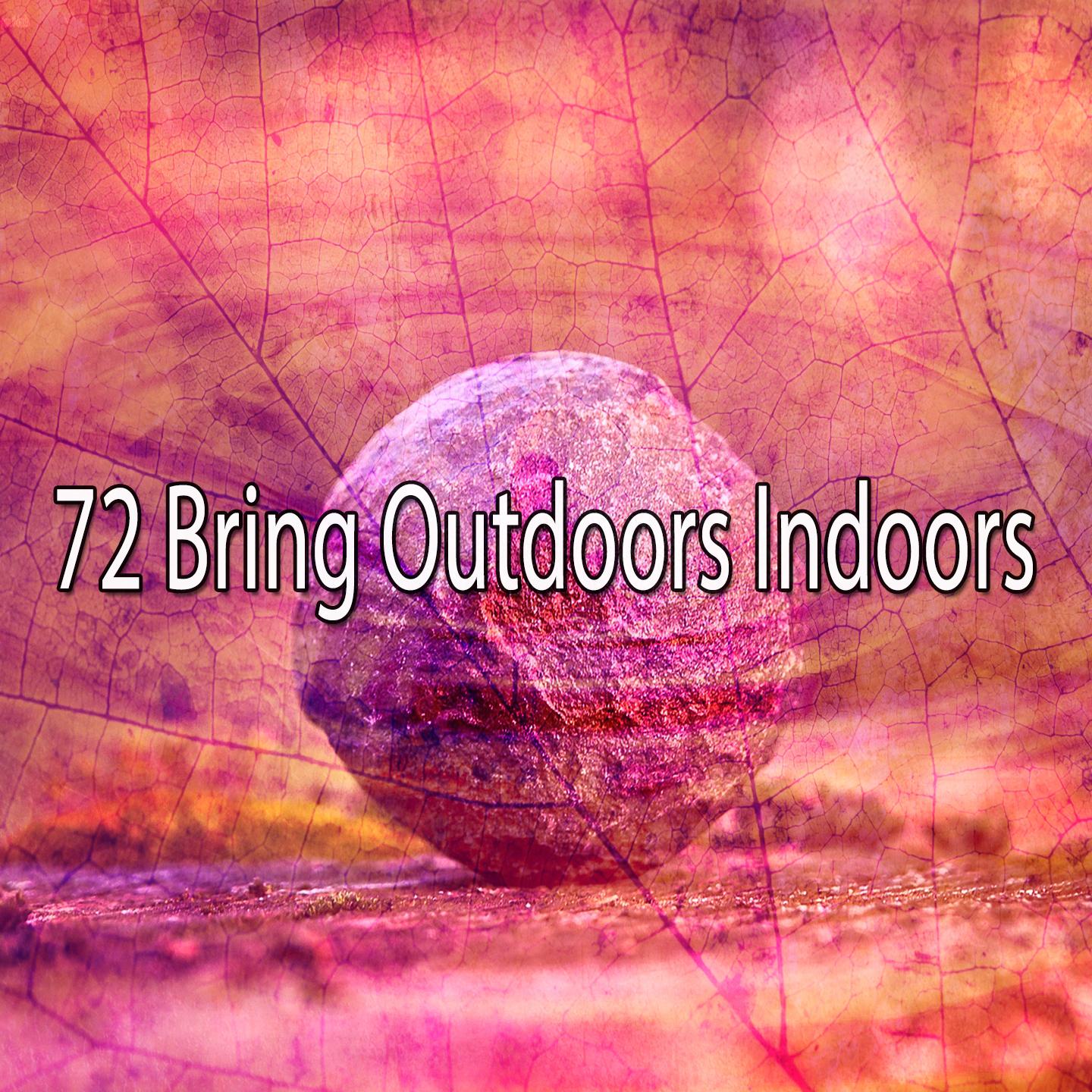 72 Bring Outdoors Indoors