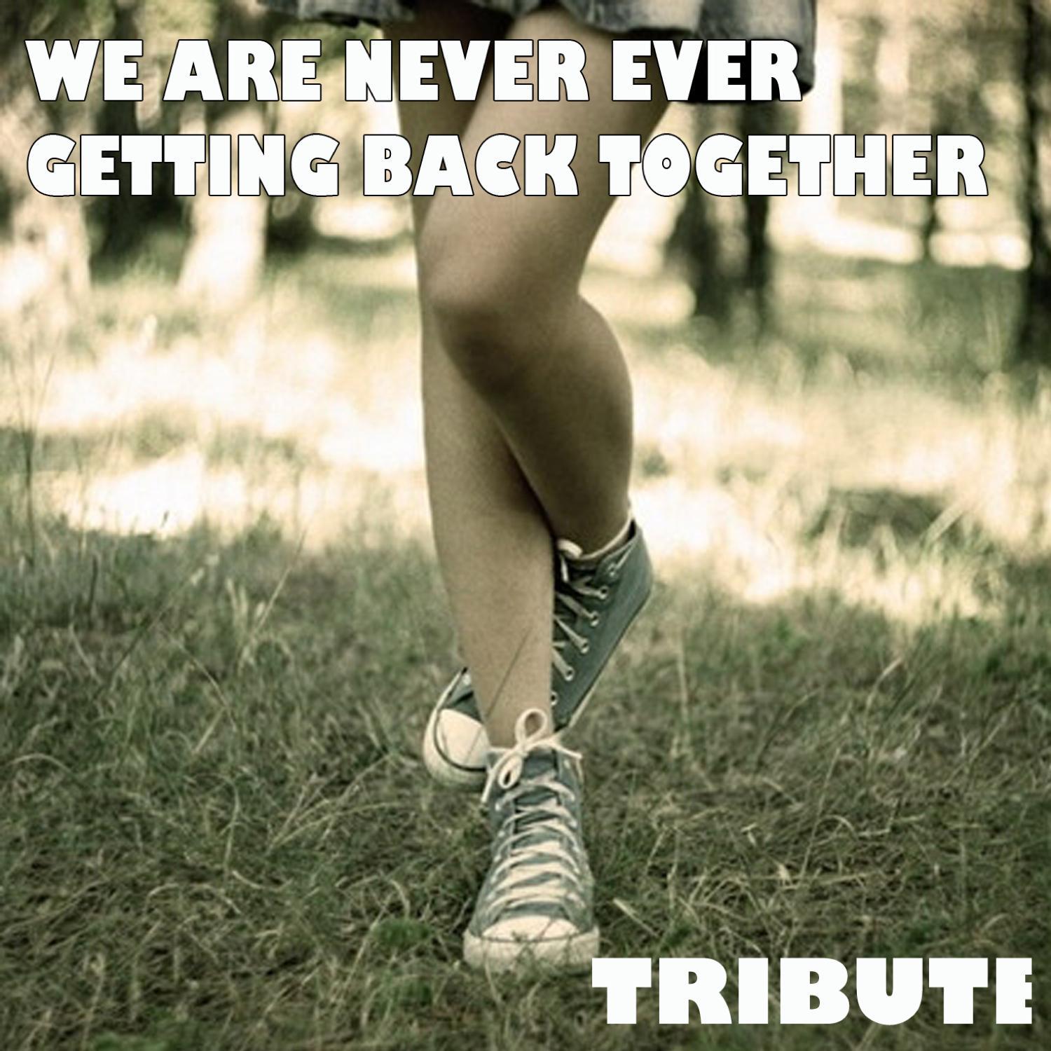 We Are Never Ever Getting Back Together (Tribute To Taylor Swift)