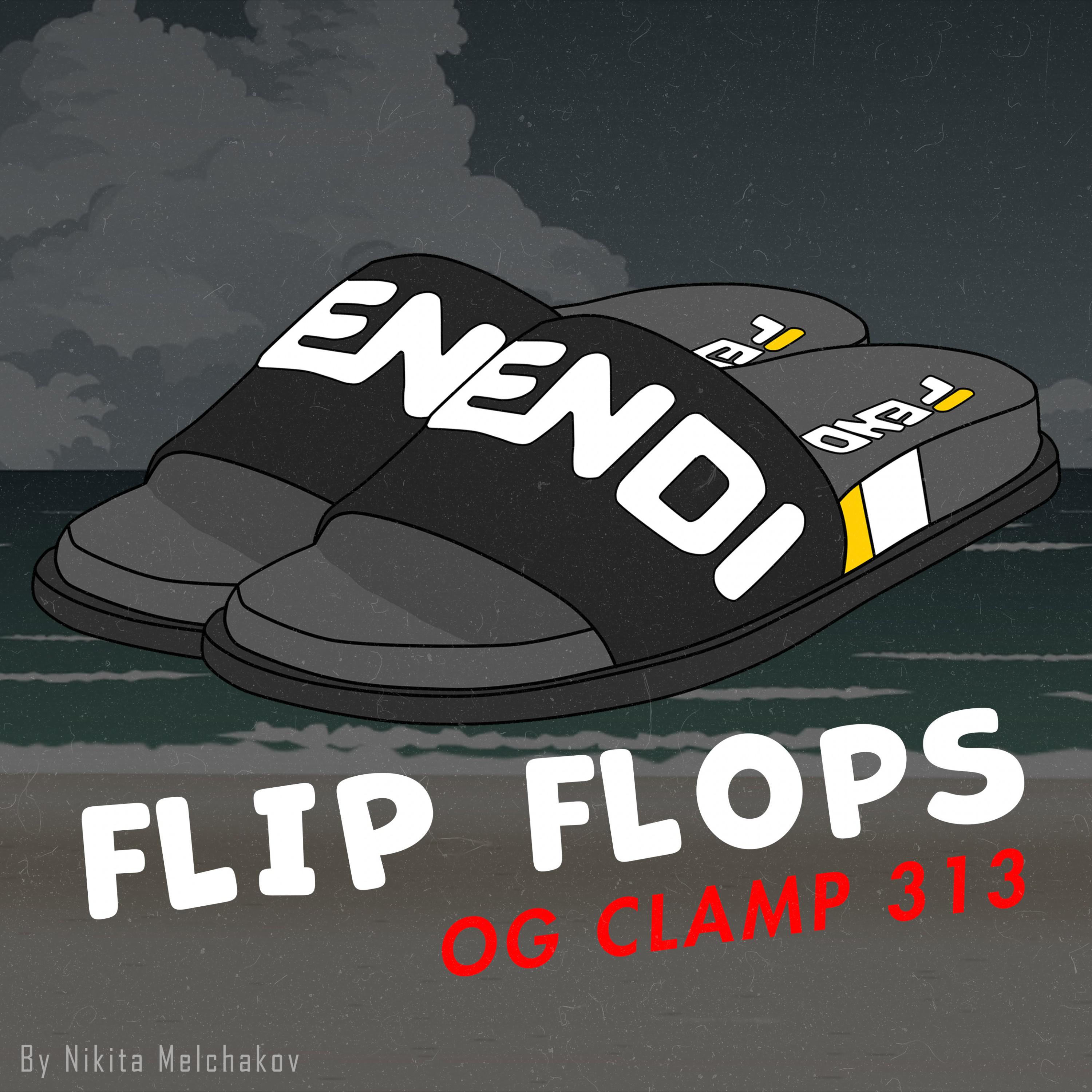 Flip Flops