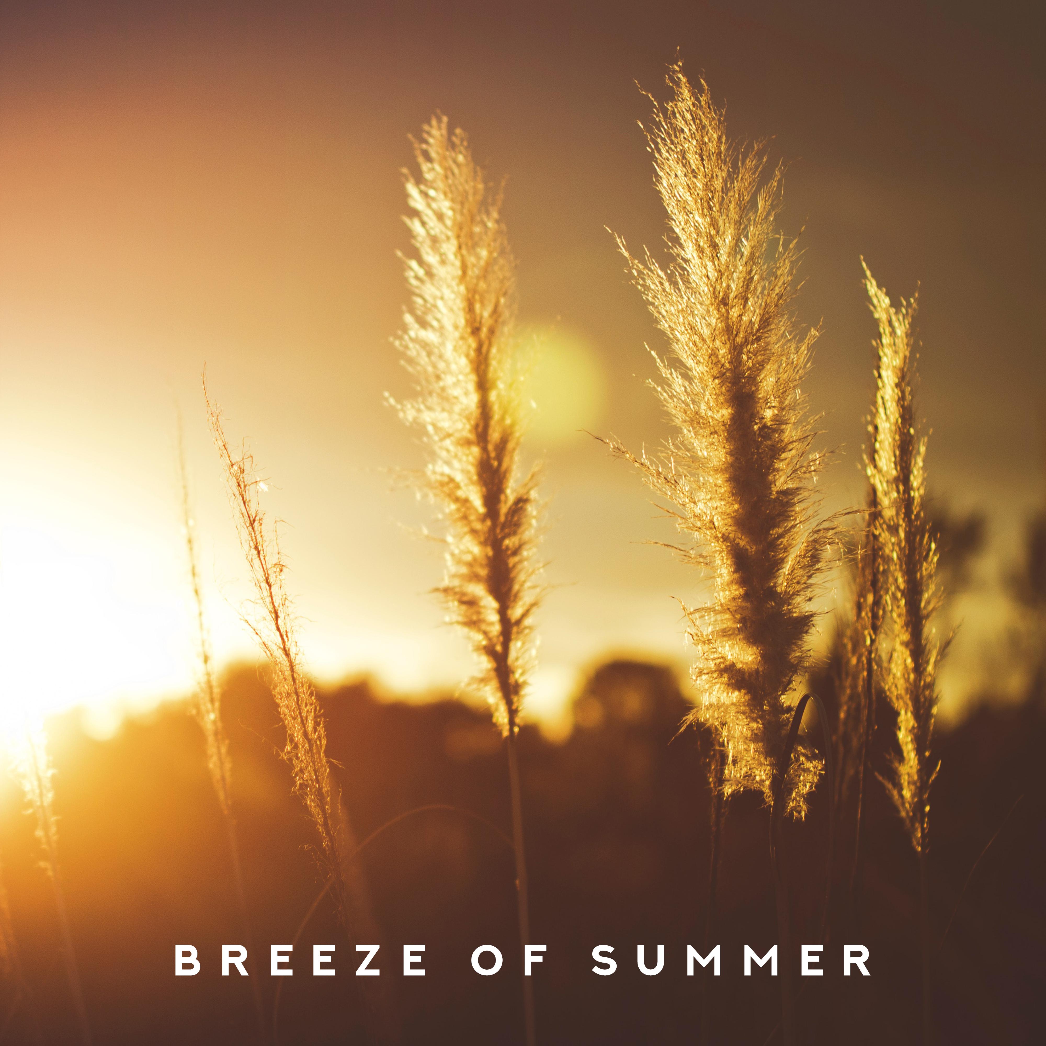 Breeze of Summer: Ibiza Vibesm, Summertime Music, Deep Chillout, Vacation Songs, Tranquil Music
