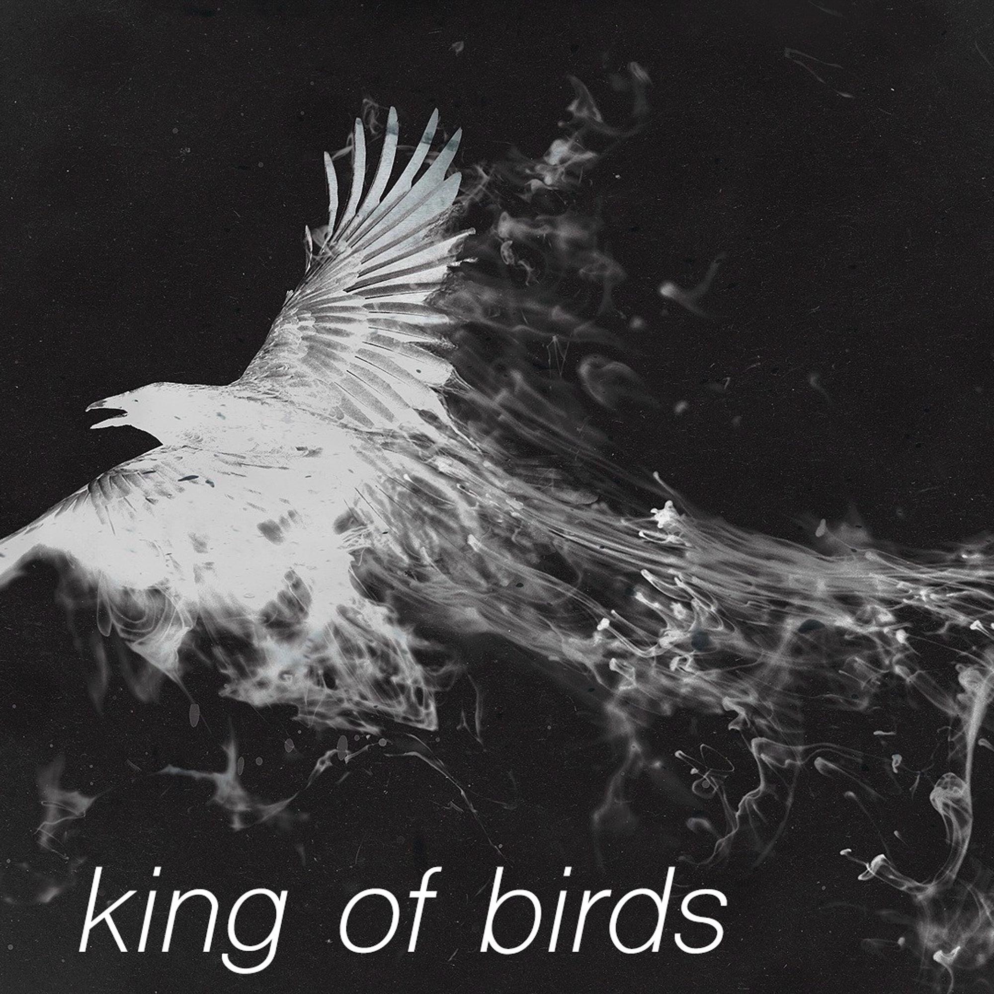 King of Birds