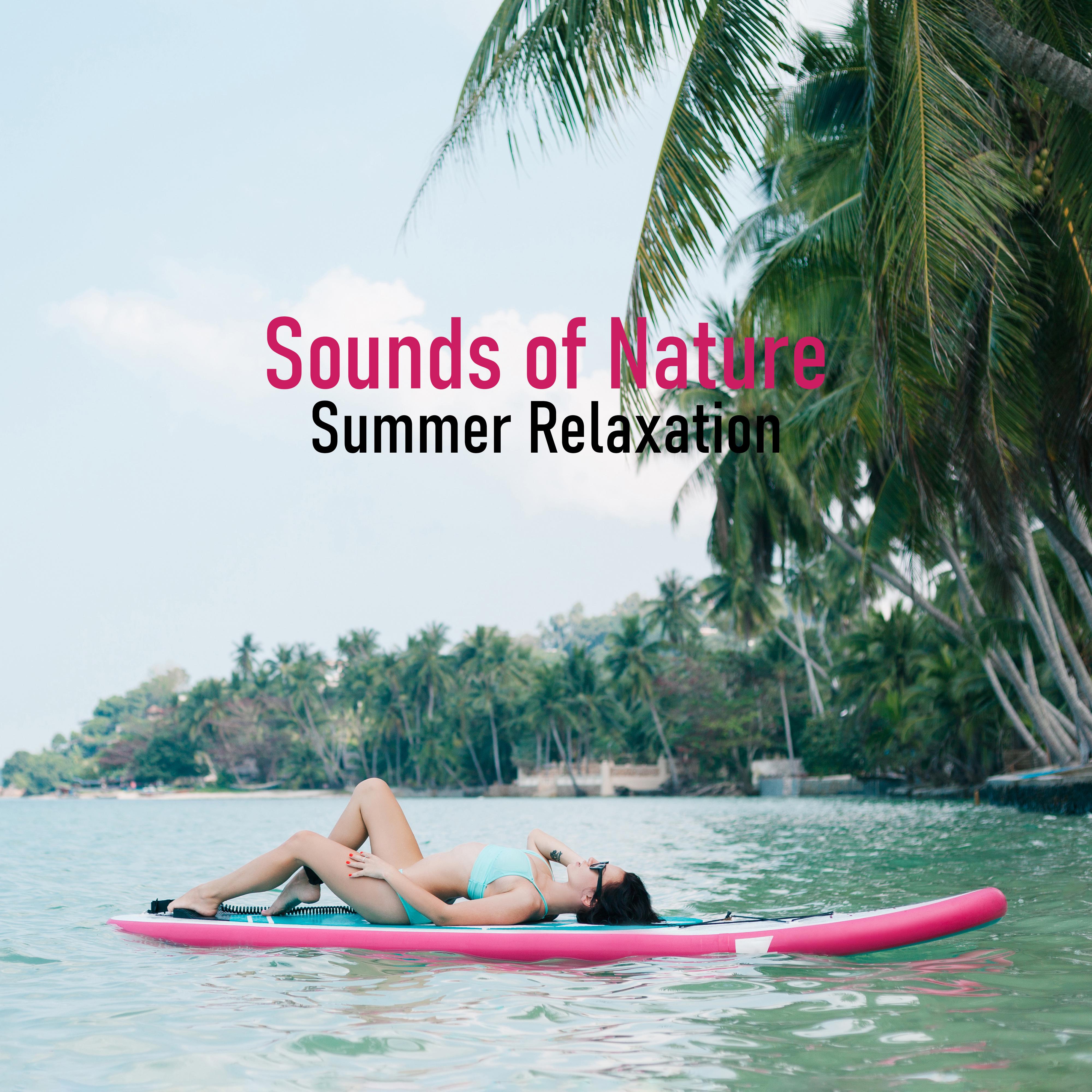 Sounds of Nature Summer Relaxation: 2019 Nature New Age Music, Most Relaxing Piano Melodies with Soothing Sounds of Birds, Forest, Meadow, Sea, Rain, Water Stream, Calming Down, Rest & Relax, Anti-stress