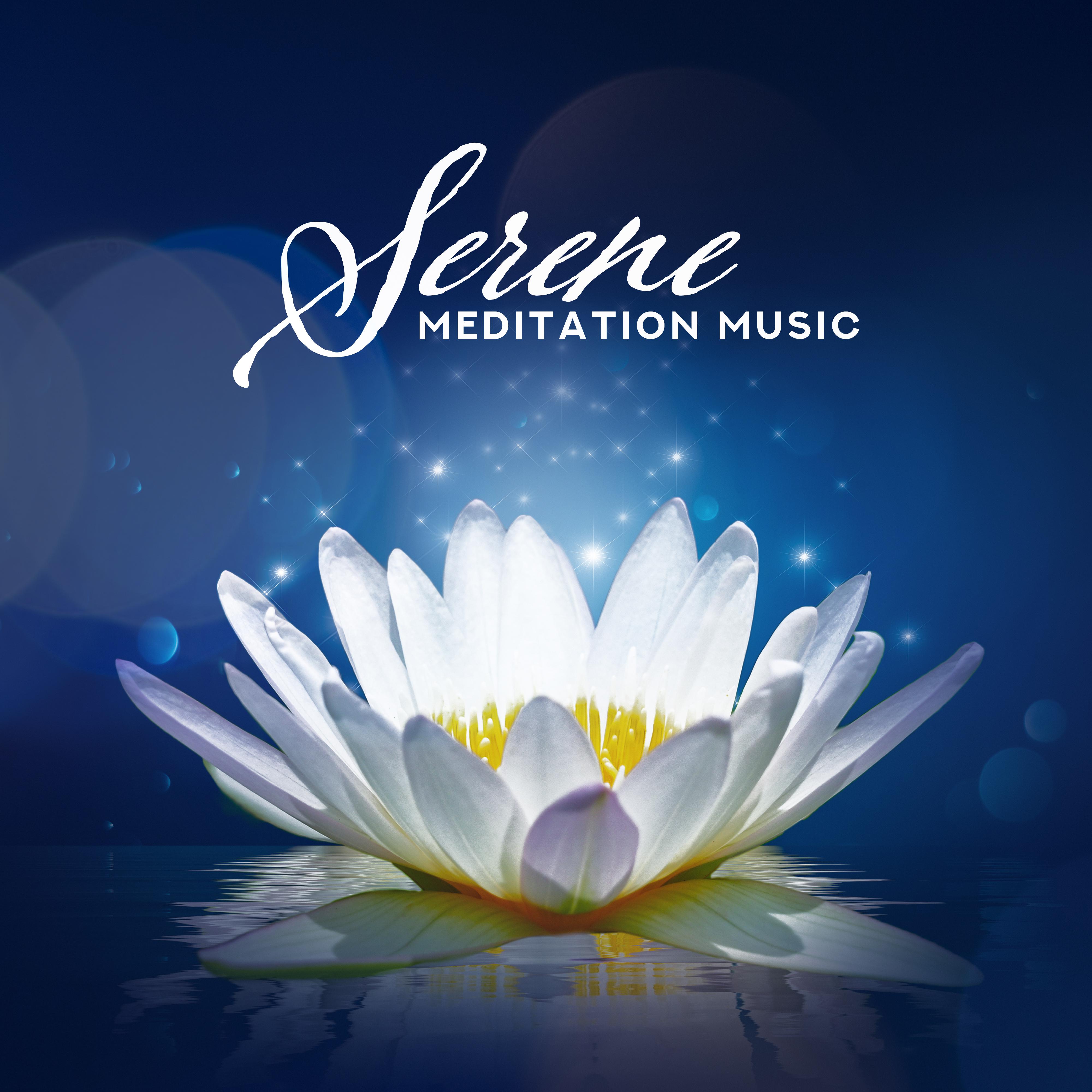 Serene Meditation Music: Healing Yoga for Relaxation, Meditation Awareness, Inner Focus, Spiritual Awakening, Meditation Therapy, Zen