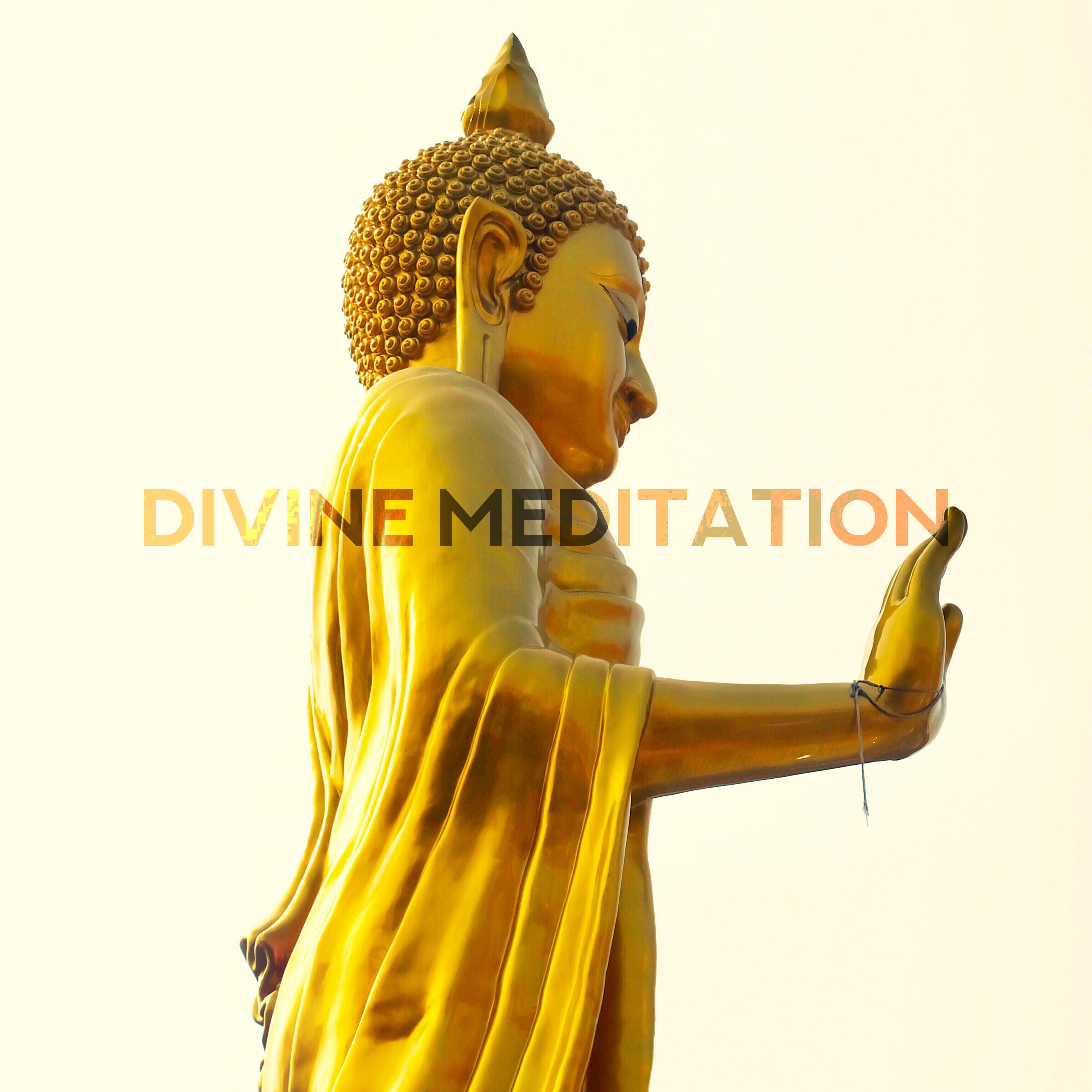 Divine Meditation: Healing Yoga, Meditation Tracks for Relaxation, Inner Harmony, Zen, Lounge, Namaste Vibes, Spiritual Meditation