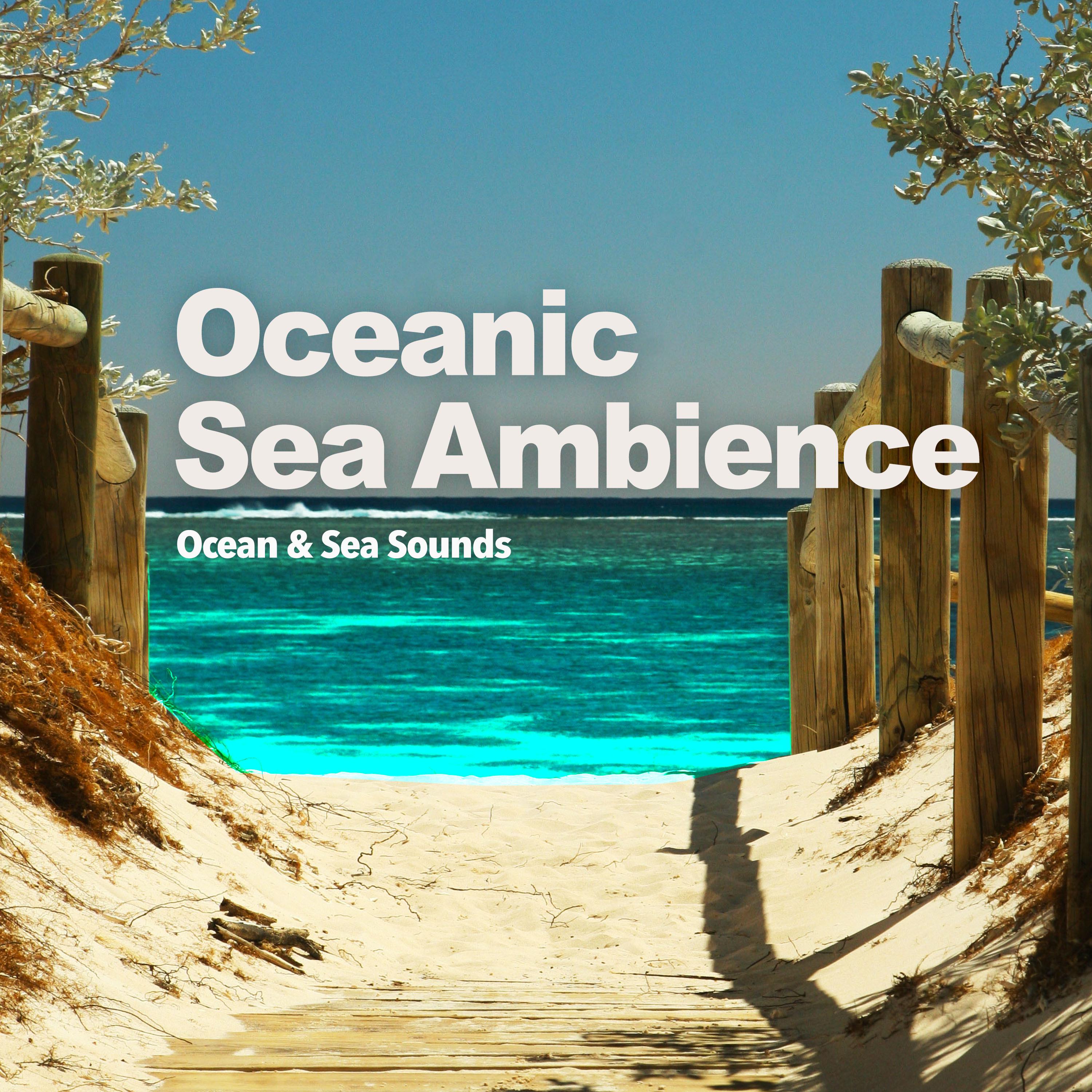 Oceanic Sea Ambience