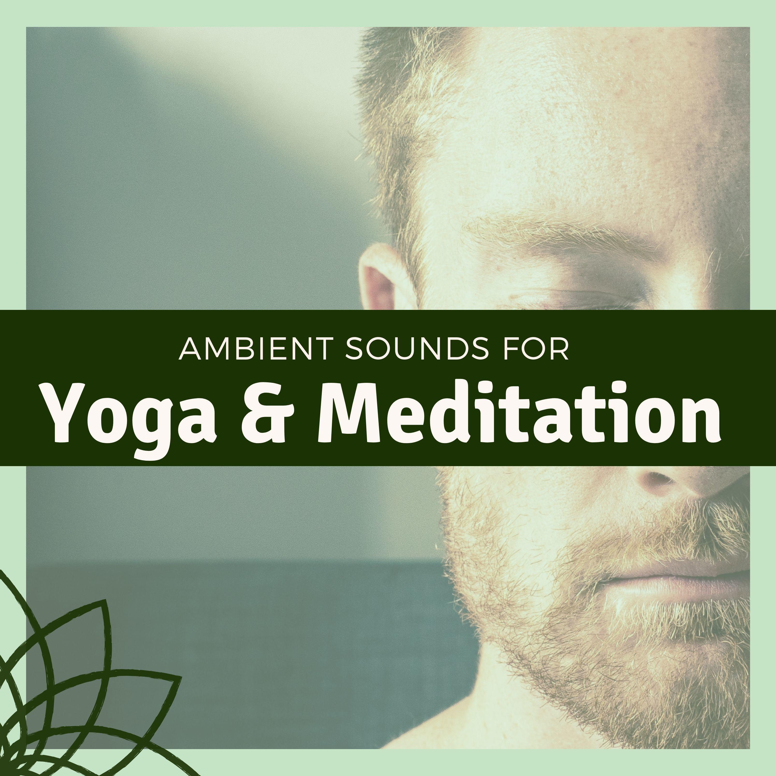 Ambient Sounds for Yoga & Meditation