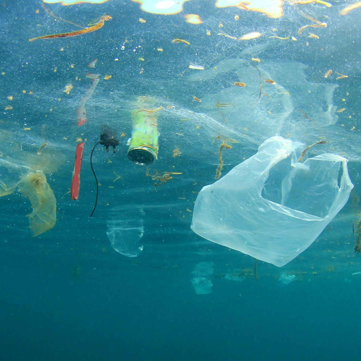 Sea Plastic