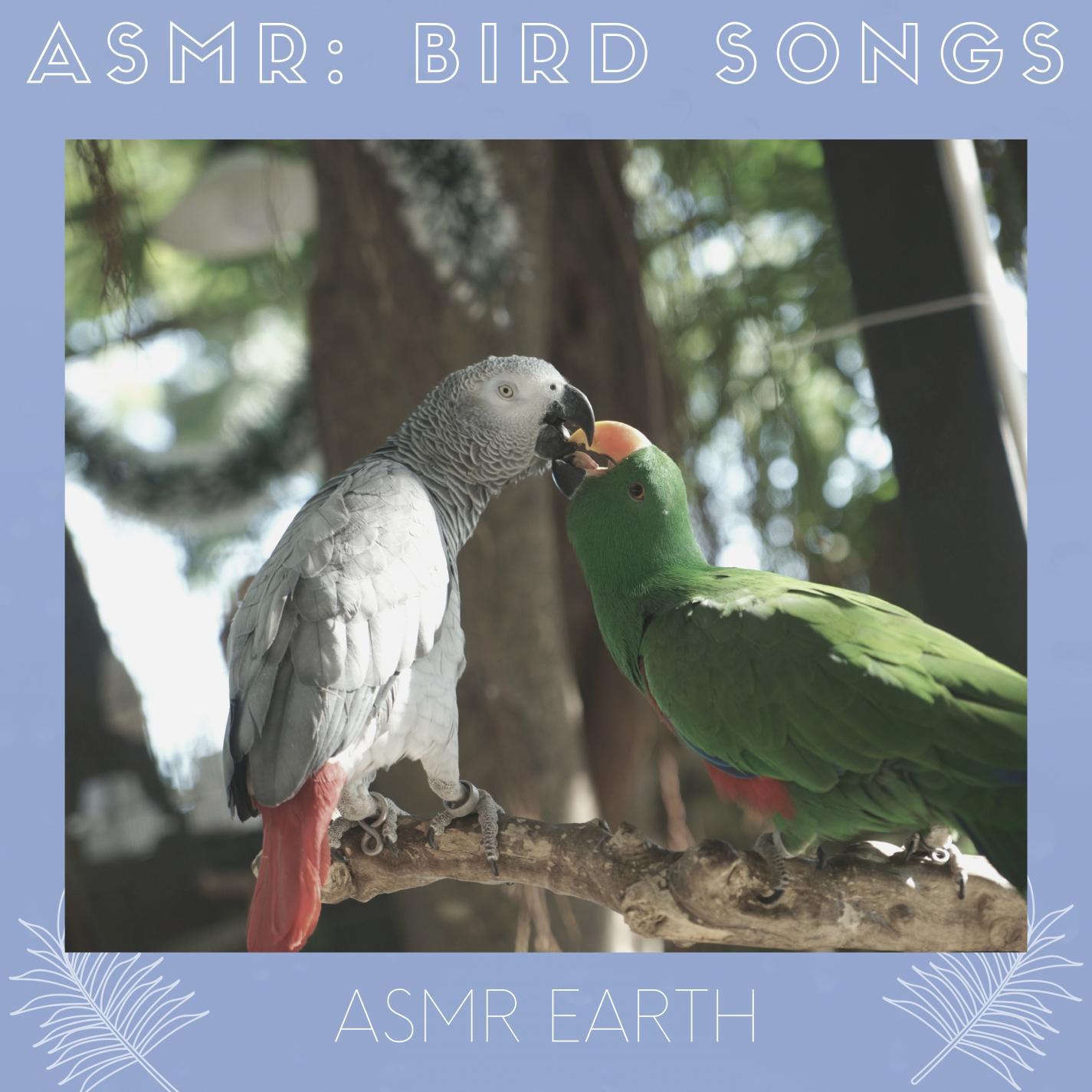 ASMR: Relaxing Bird Sounds