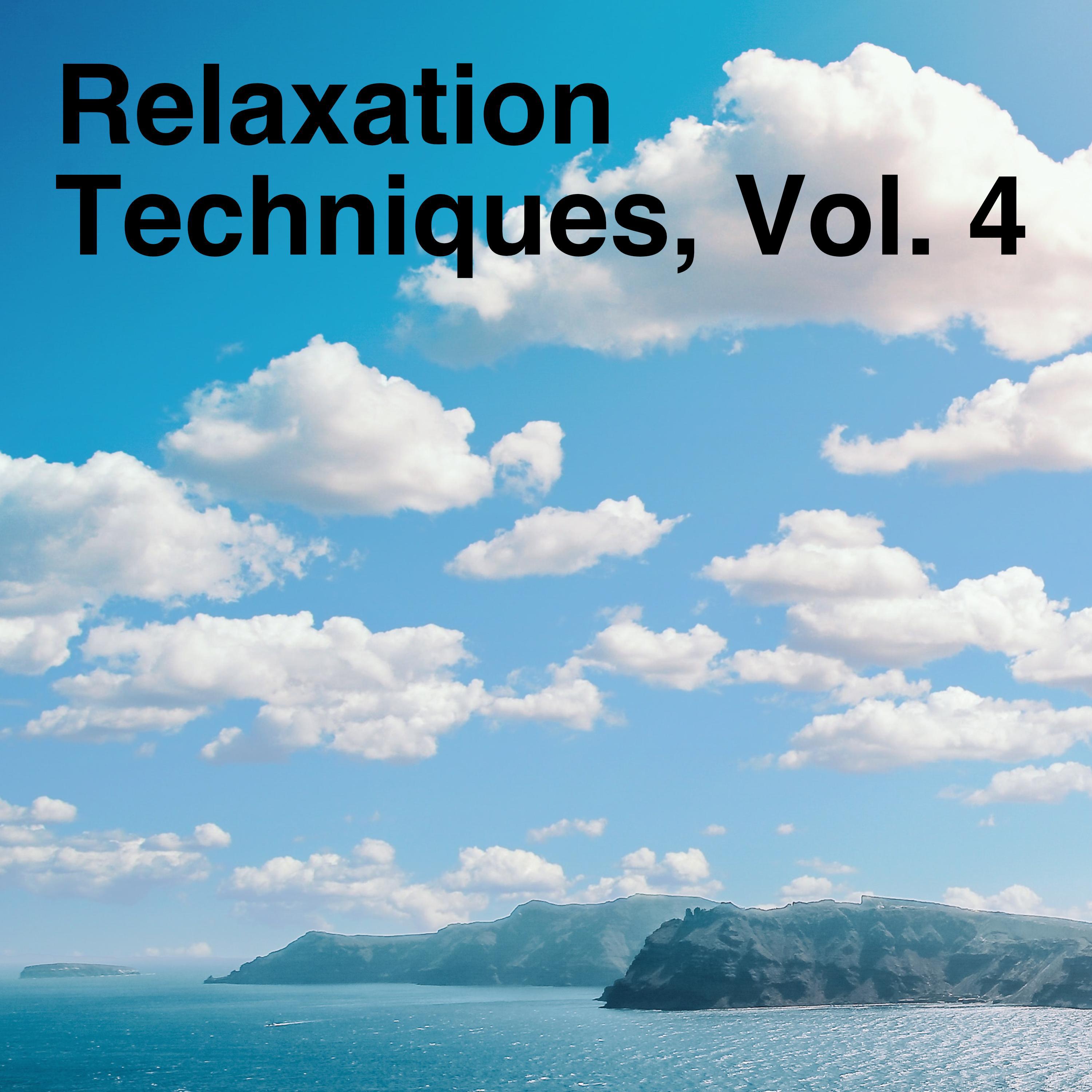 Relaxation Techniques, Vol. 4