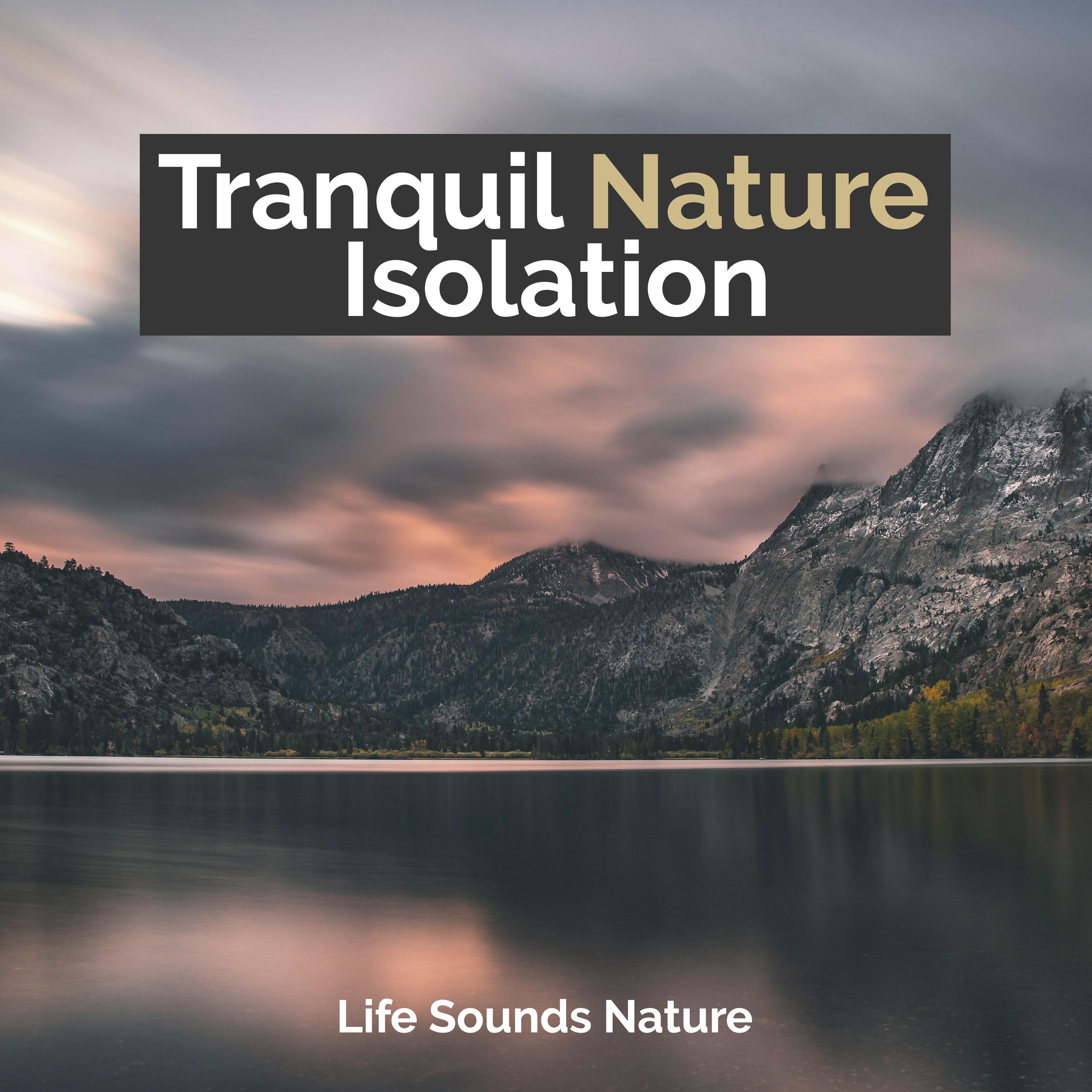 Tranquil Nature Isolation