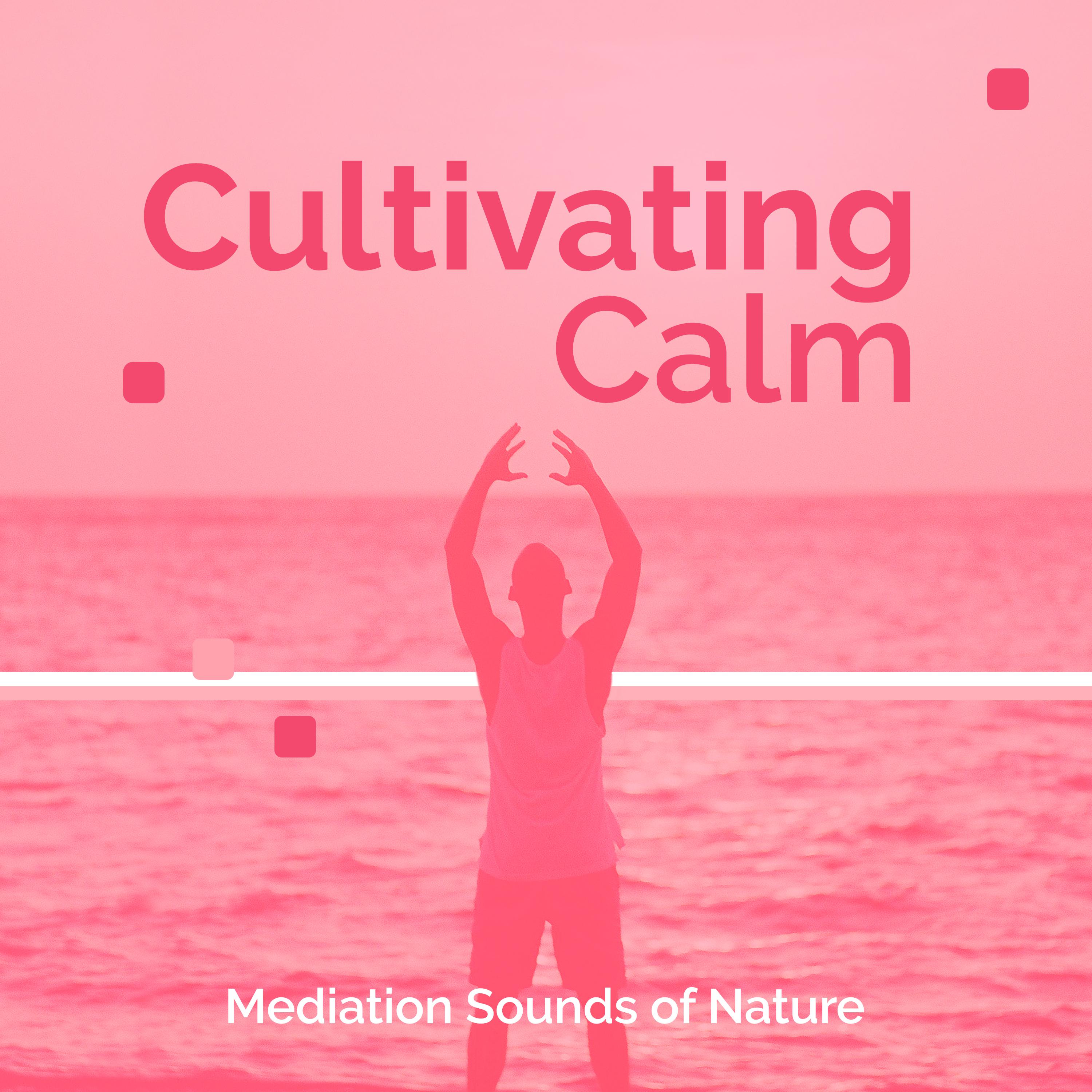 Cultivating Calm