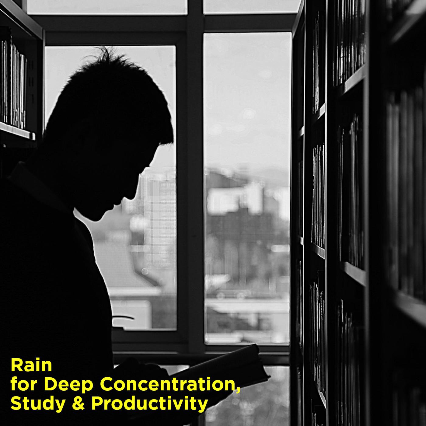 Rain for Deep Concentration, Study & Productivity