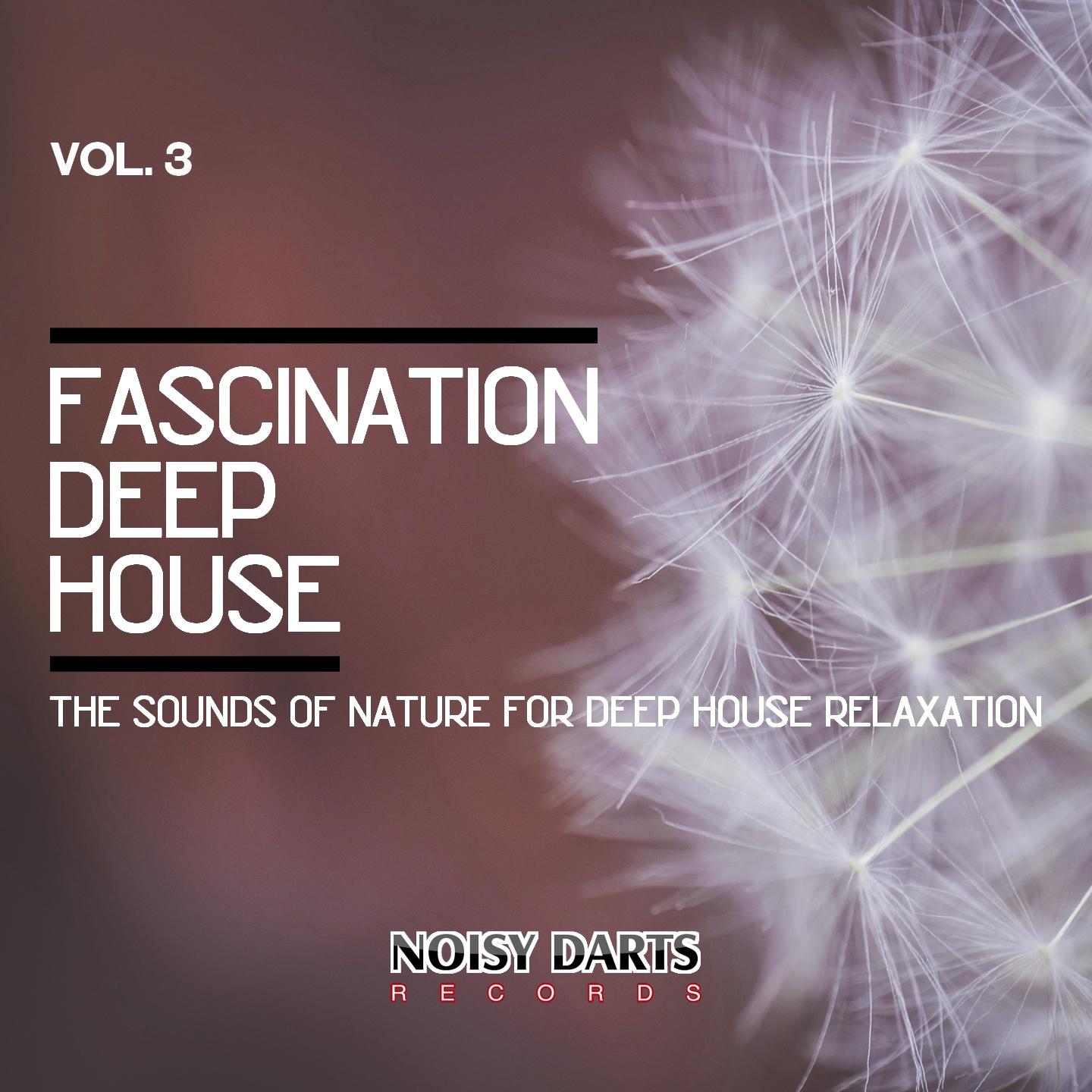 Fascination Deep House, Vol. 3 (The Sounds Of Nature For Deep Relaxation)