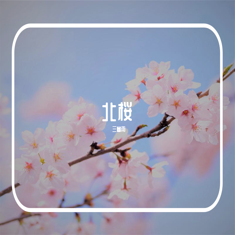 北桜