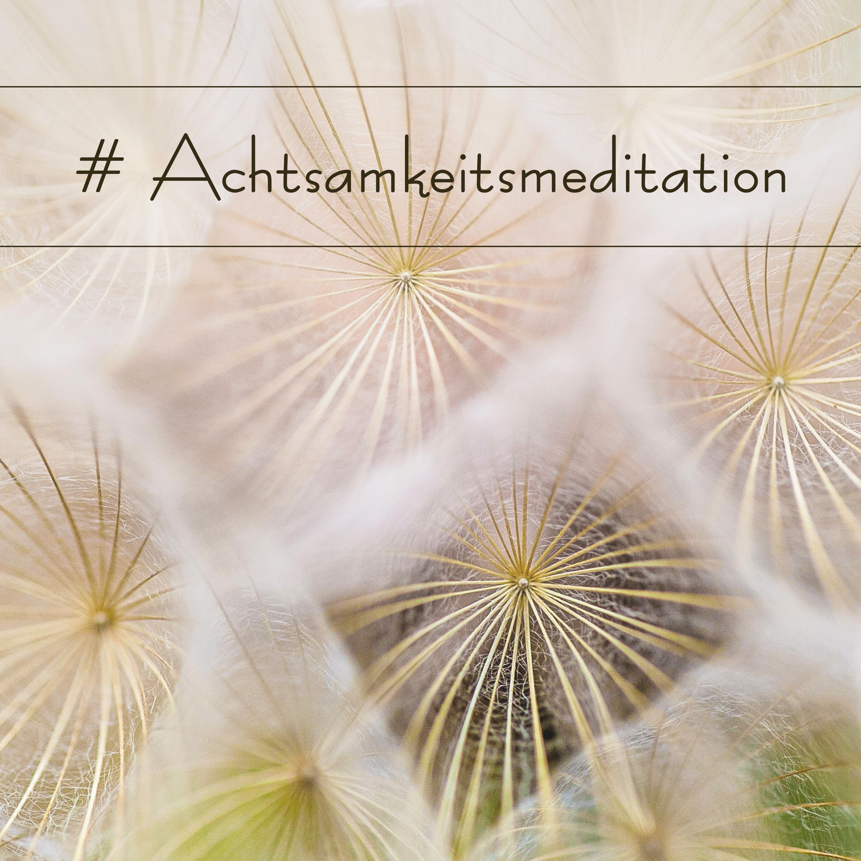 # Achtsamkeitsmeditation (2 Stunden Meditationsmusik mit Naturgeräuschen)