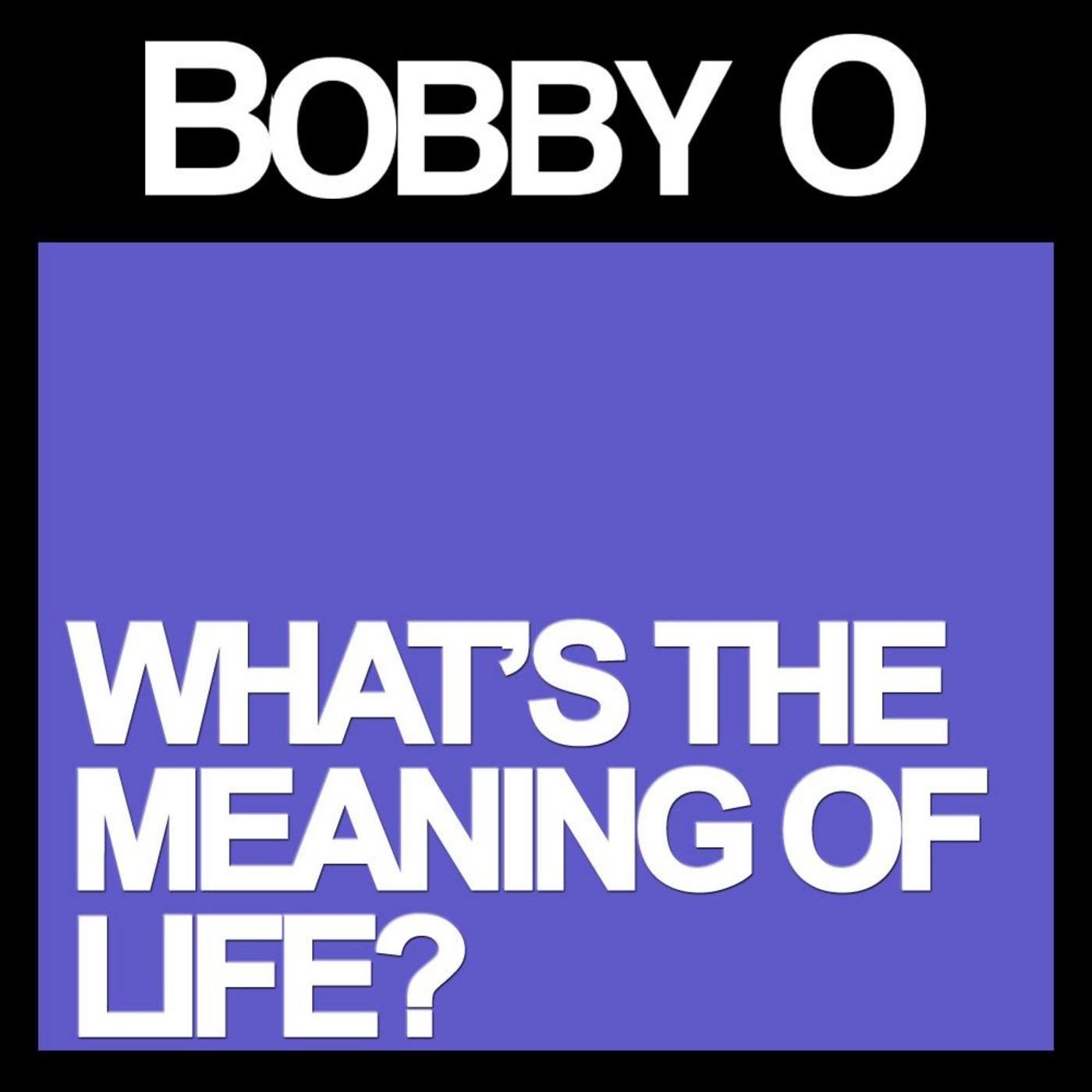 What's the Meaning of Life?