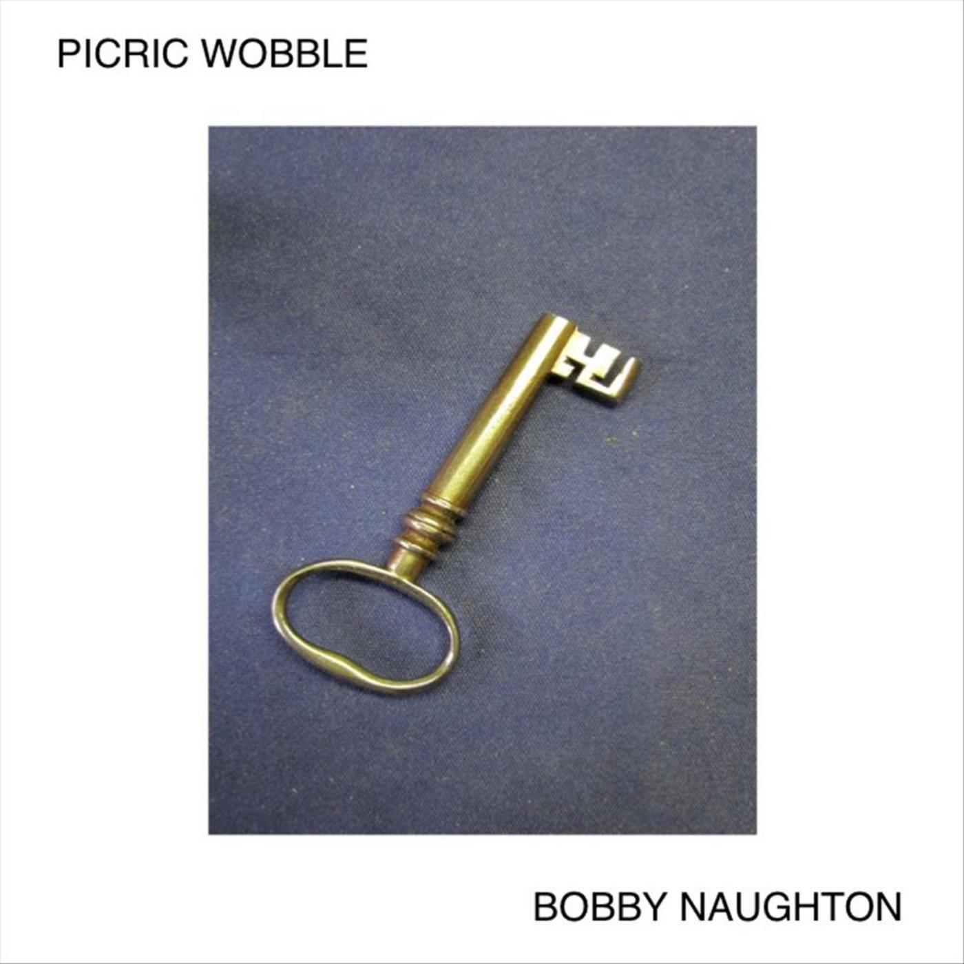 Picric Wobble (feat. Creative Improvisors Orchestra)